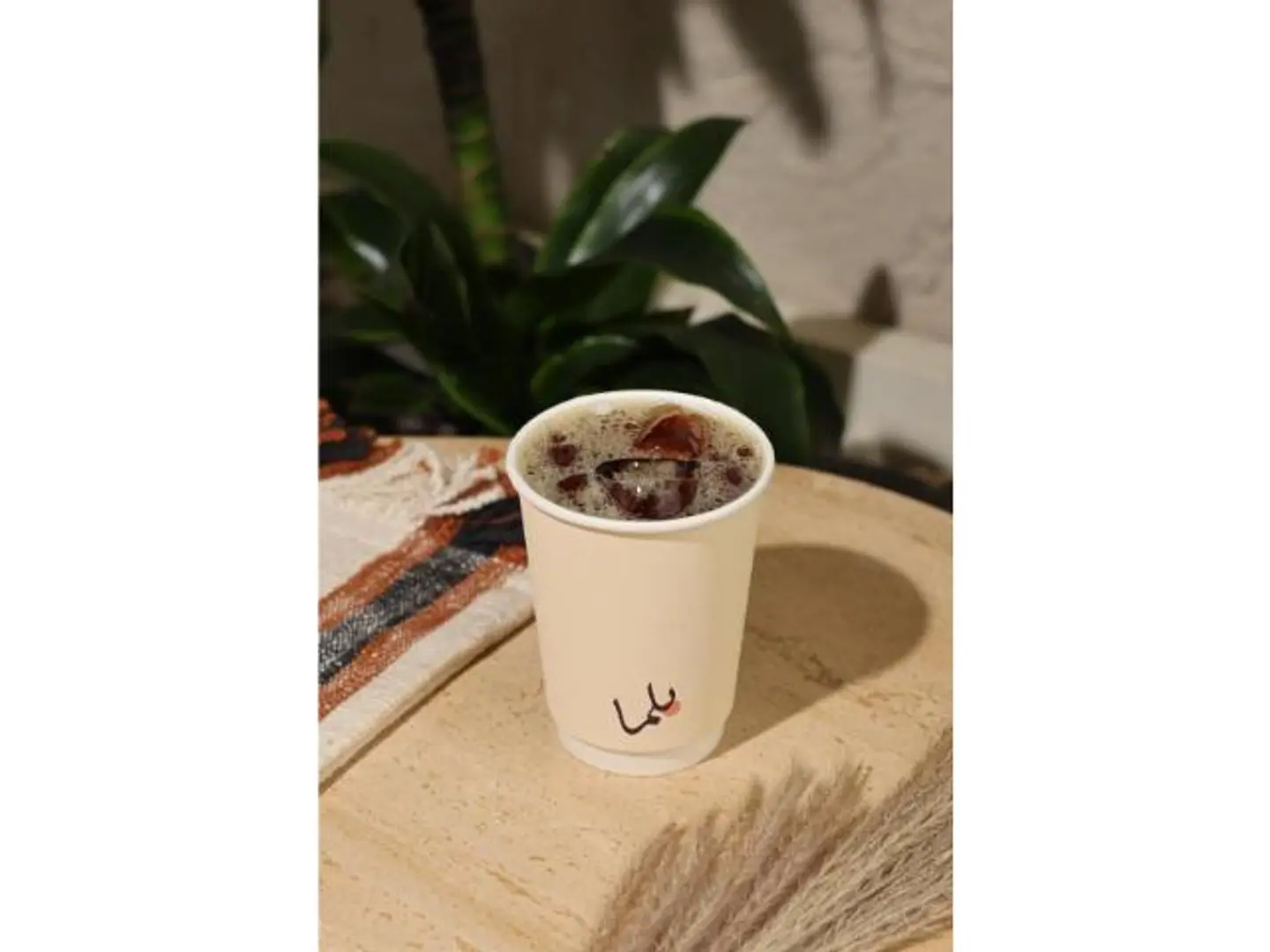 ڤي 60 بارد - كولمبيا كوكتت