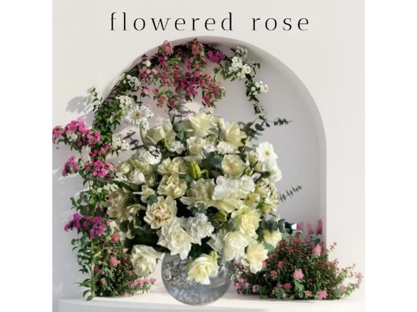 فازه البياض