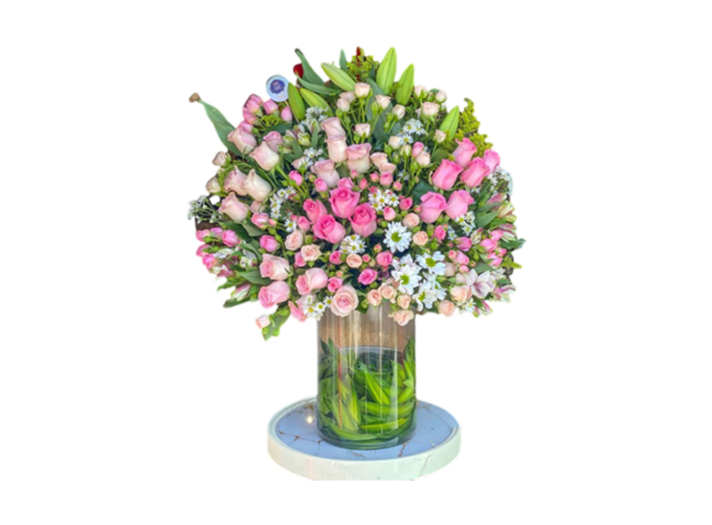 فازه الفخامه