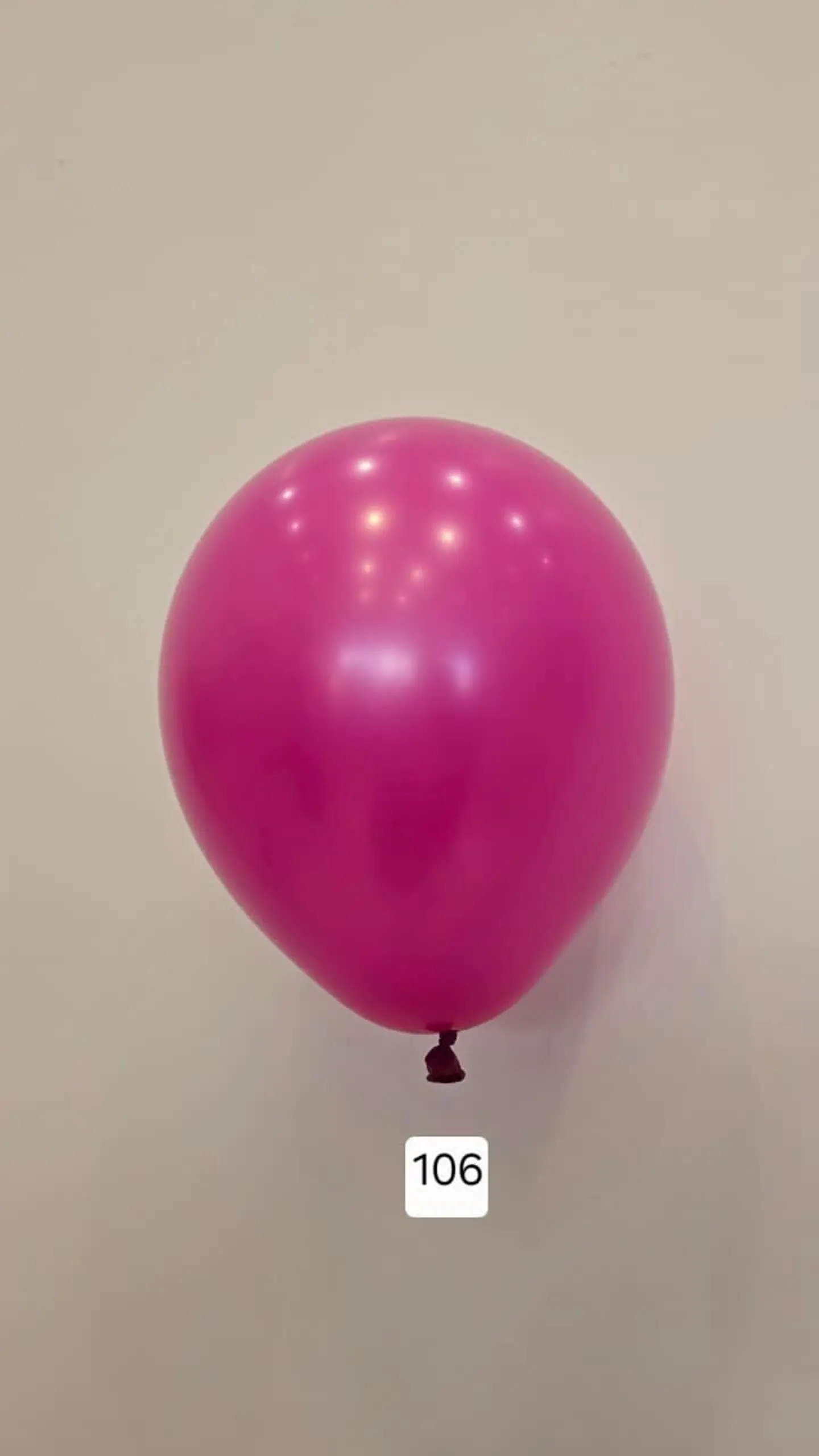 Balloon Number 106
