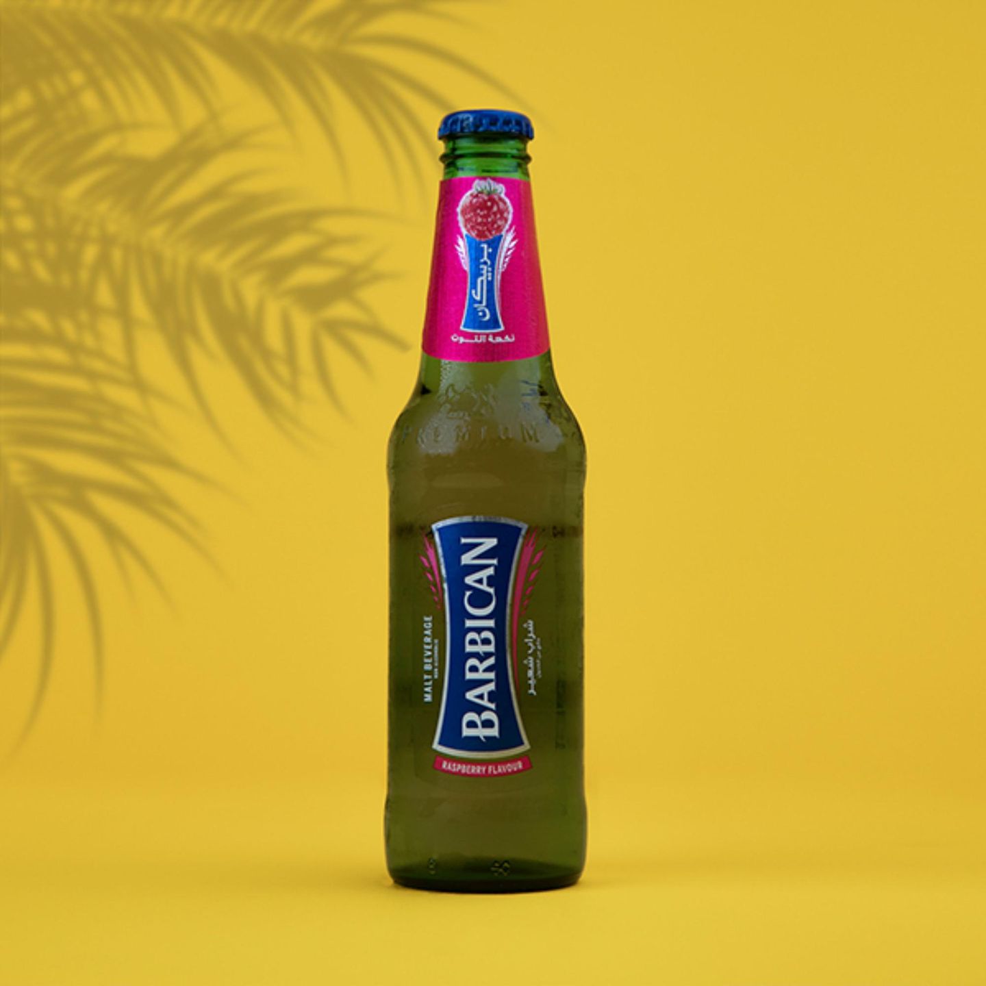 Raspberry Beer