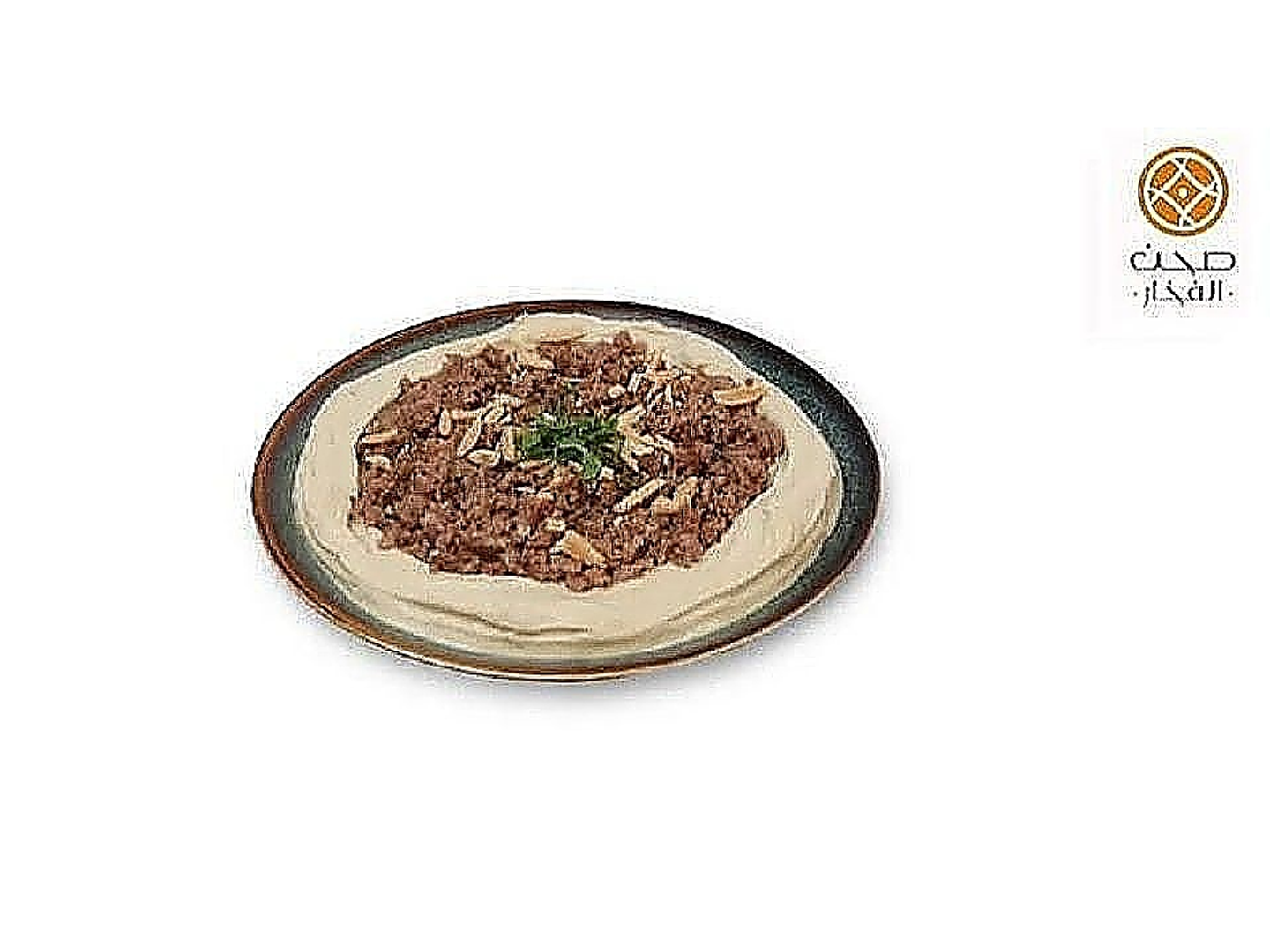 Hummus With Meat
