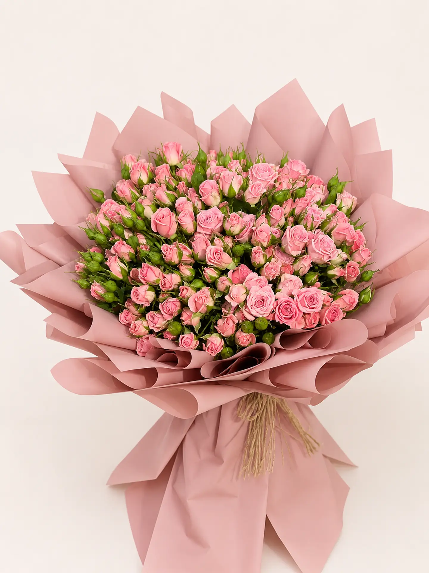 Rose Blush