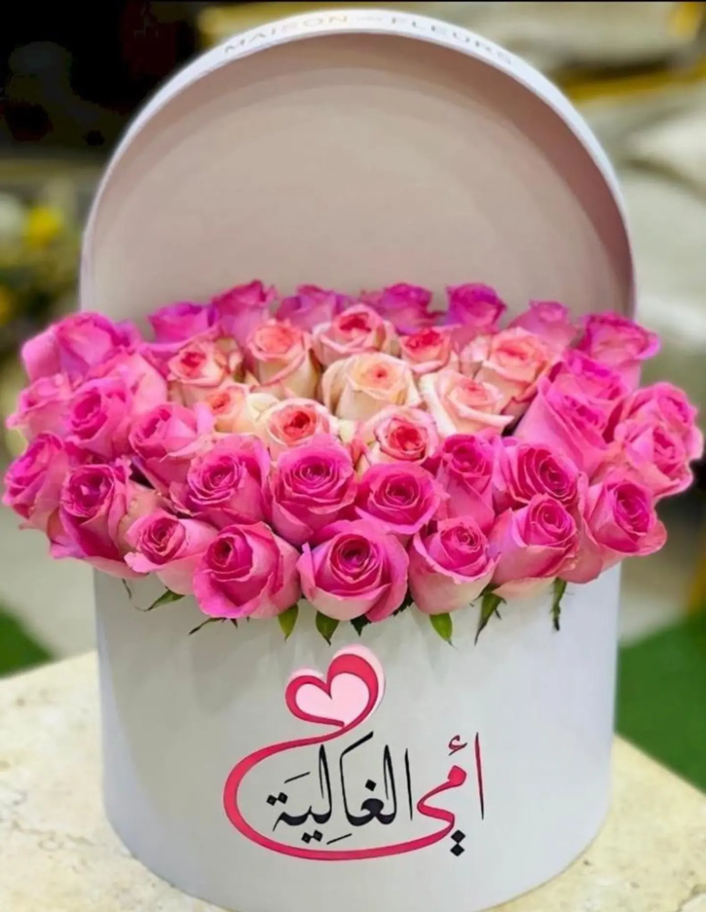 أمي الحب والحنان