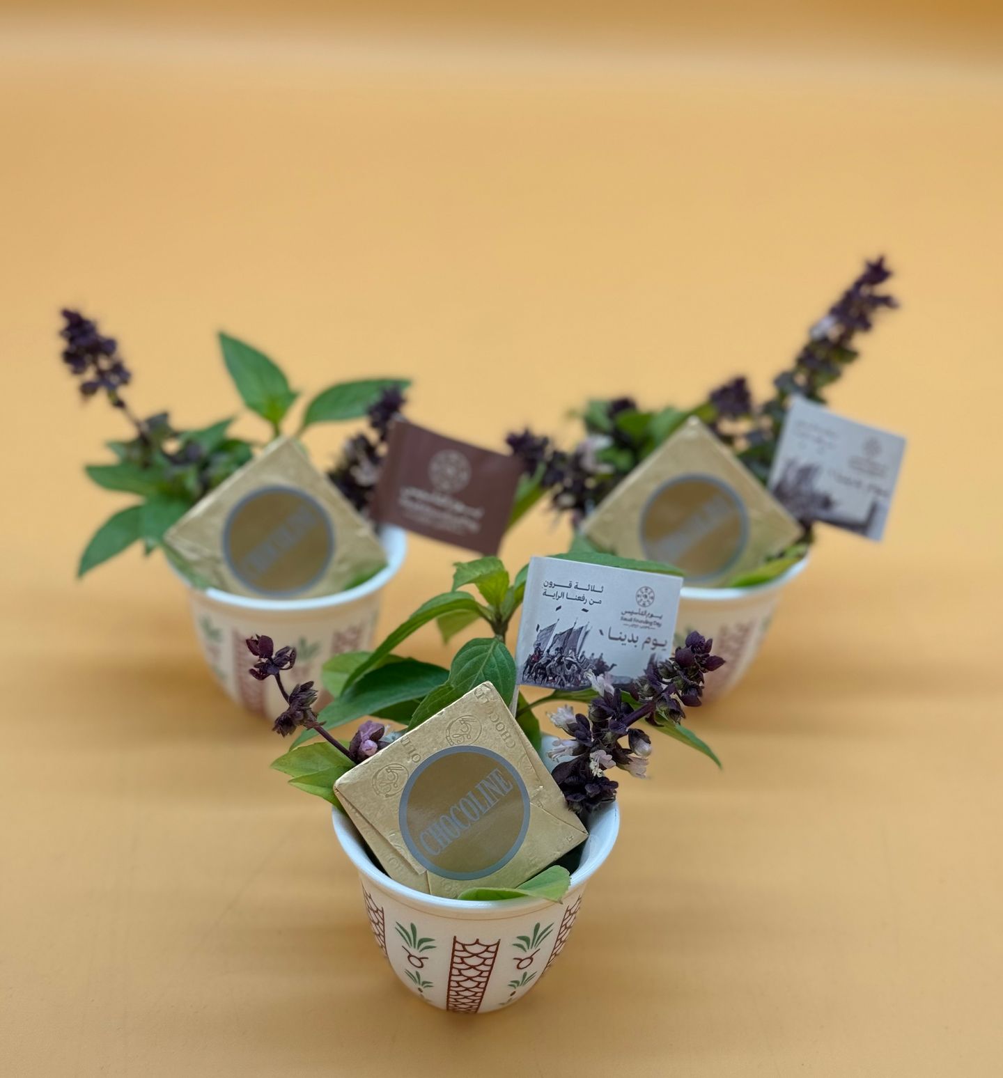 Basil Distributions With Chocolate Seeds