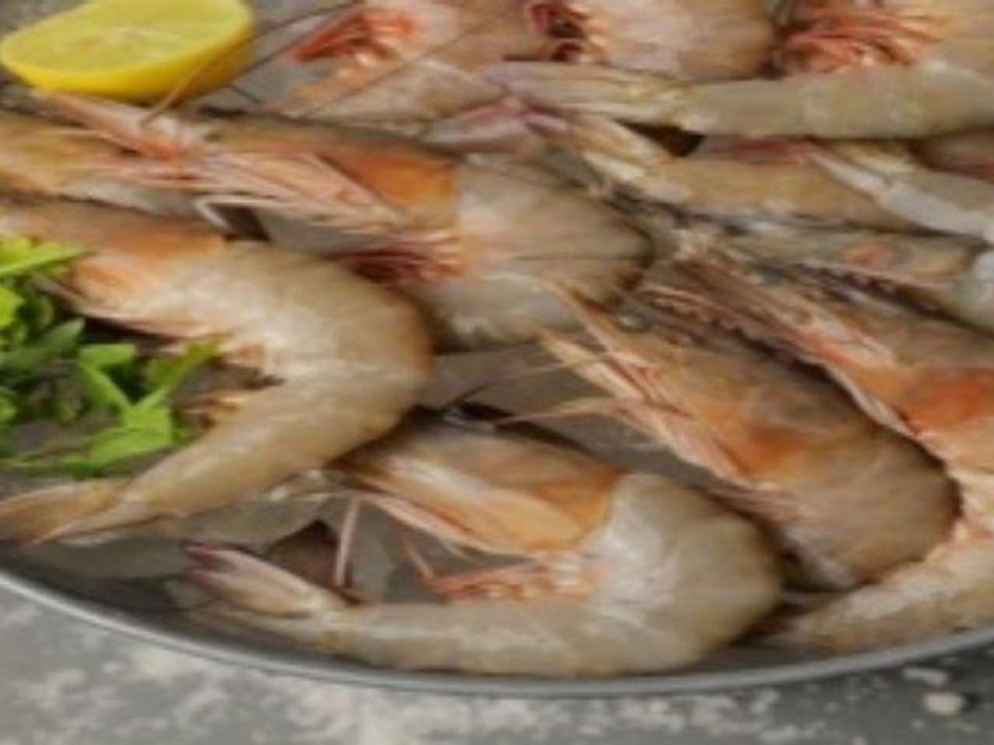 جمبرى ججم جامبو