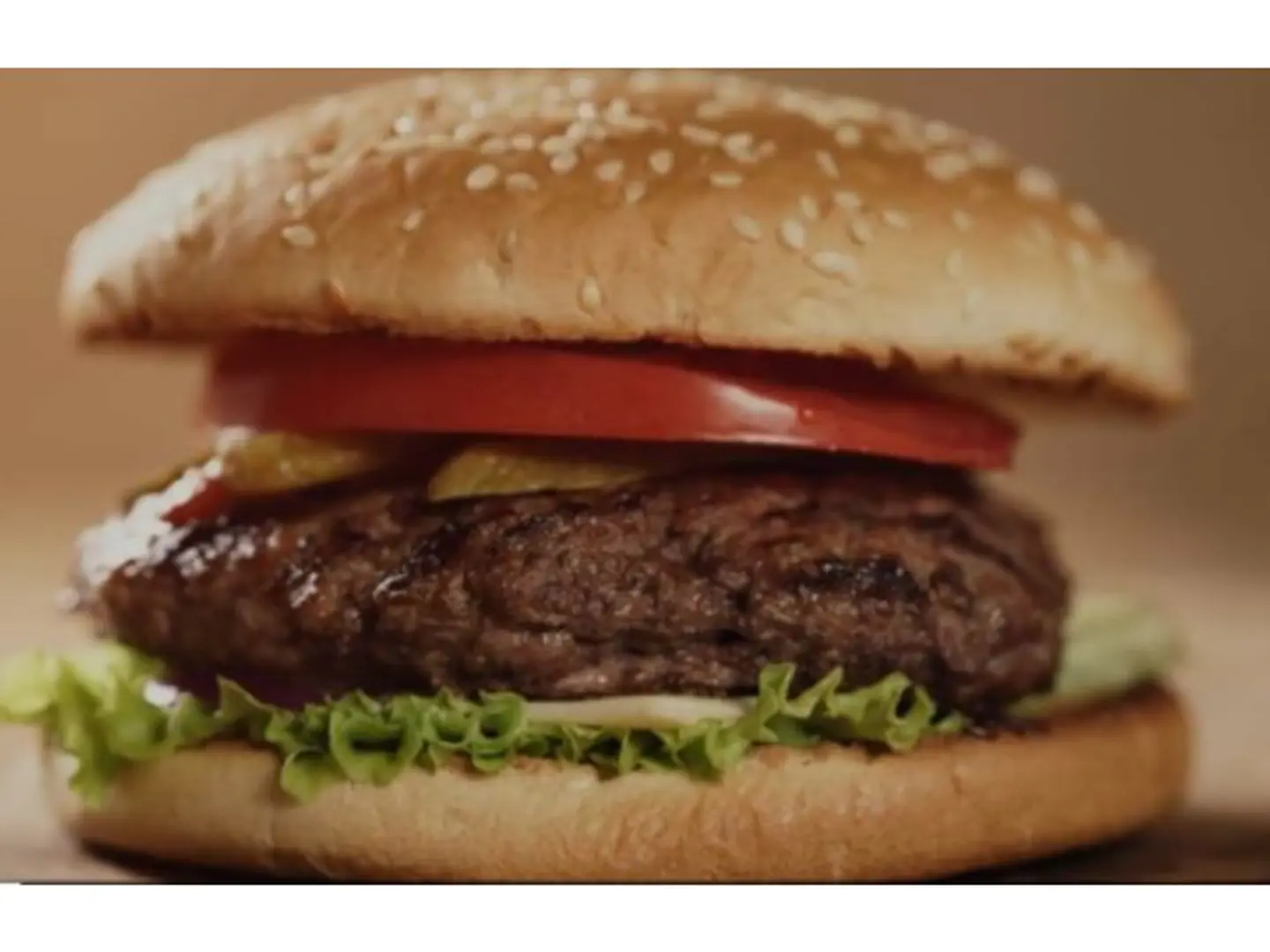 Burger Sandwich