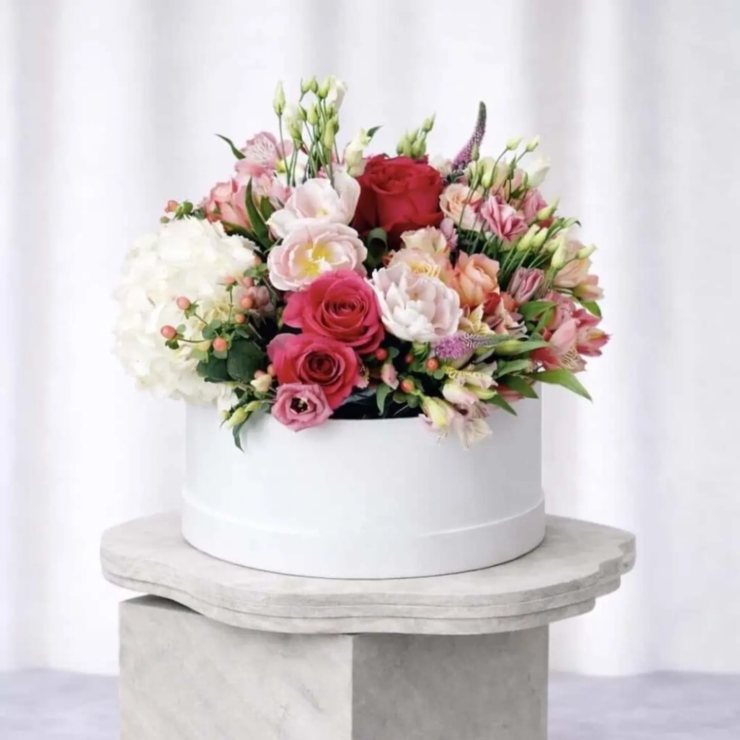 فلورانس بوكس