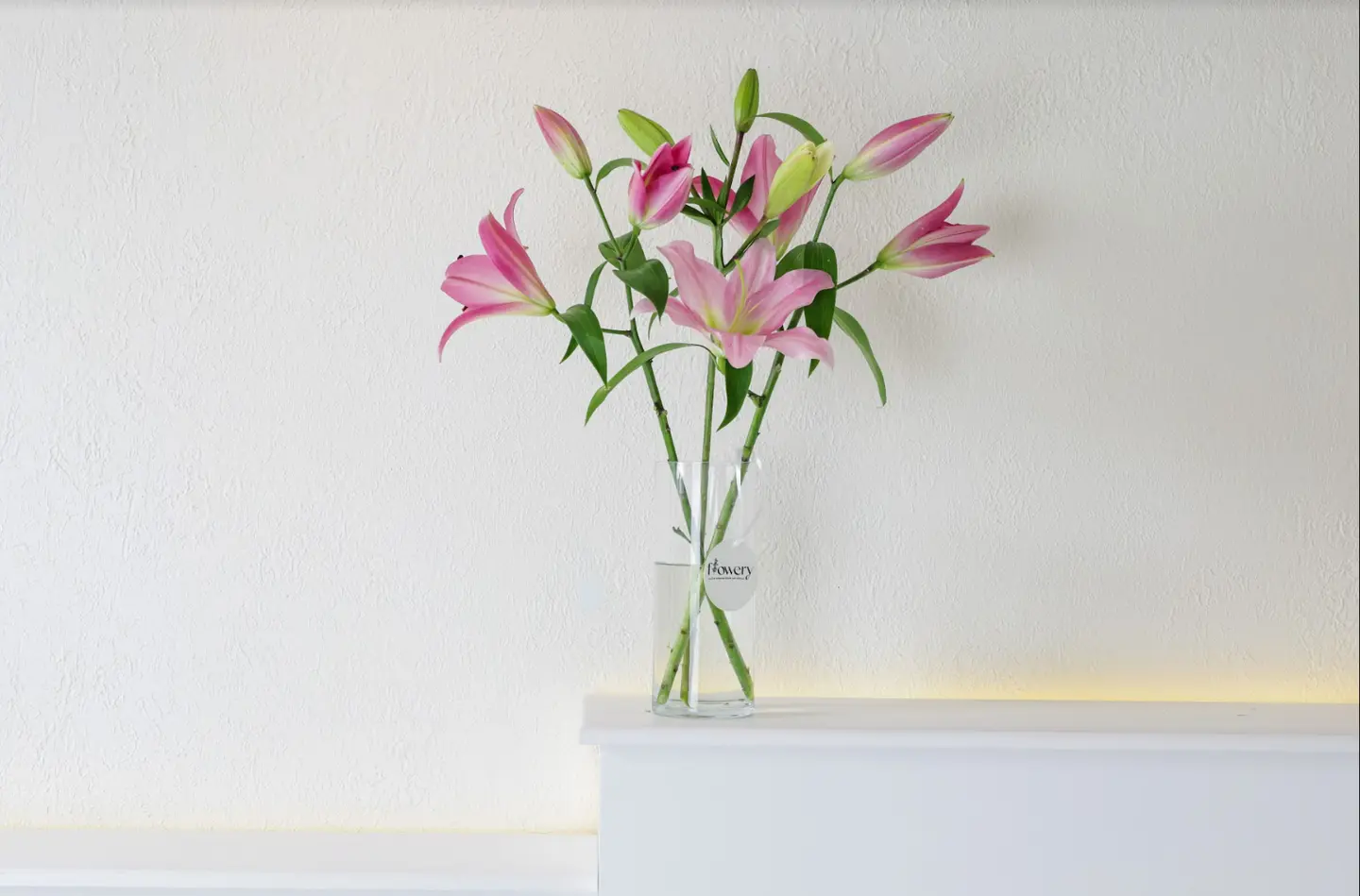 كازبلانكا بينك