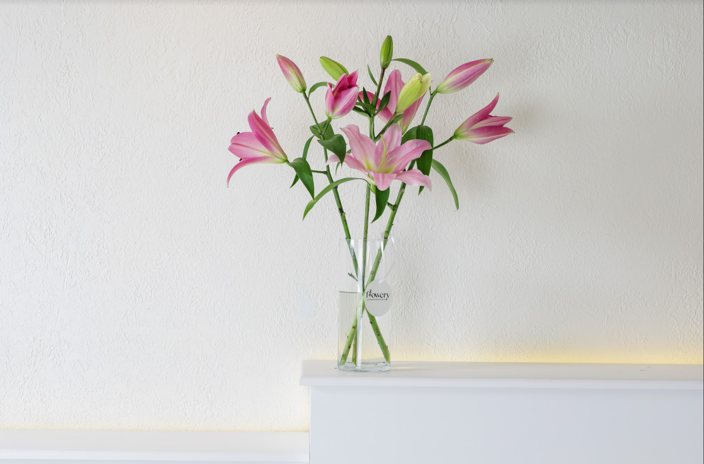 Casablanca Pink