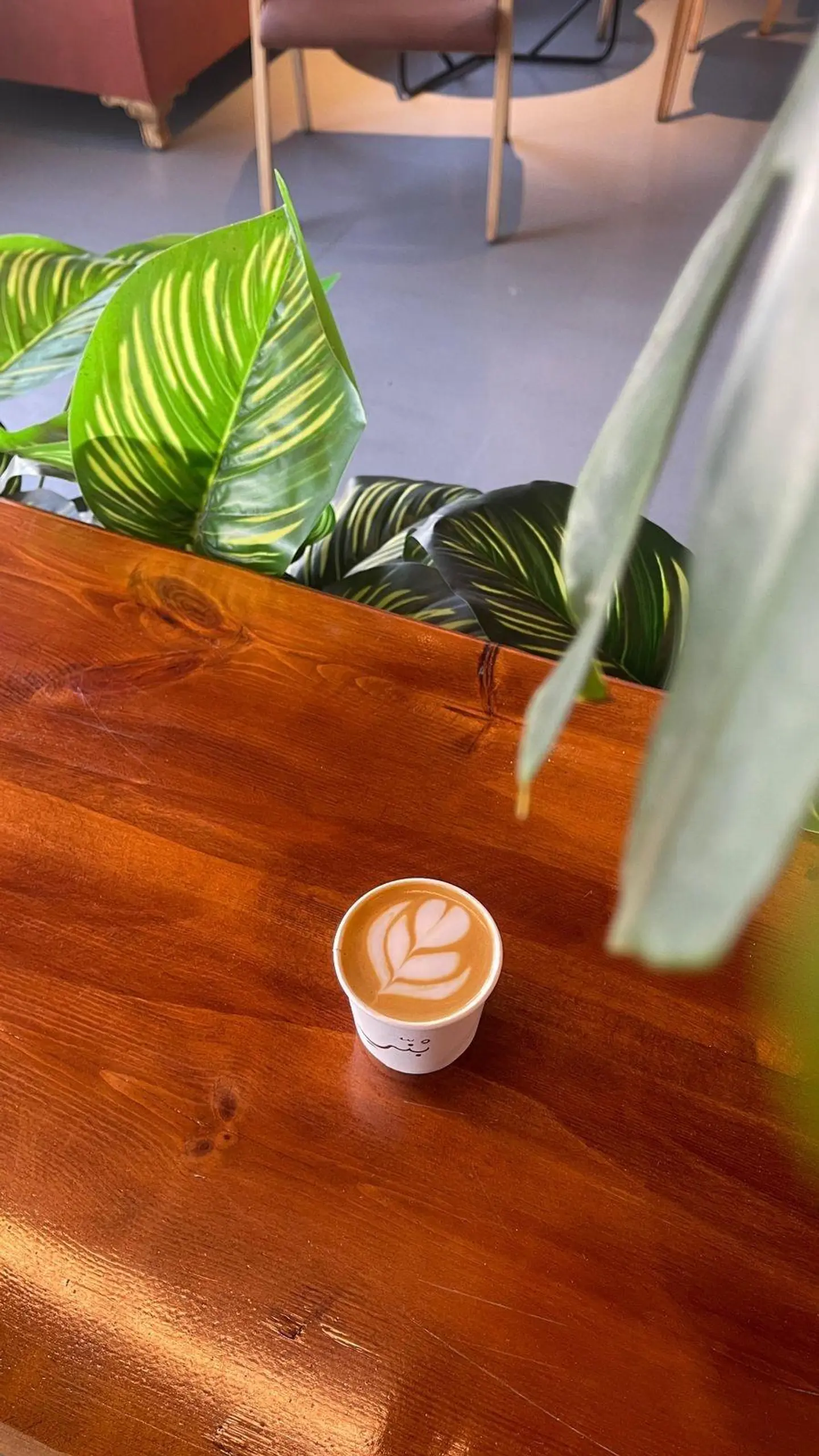 Cortado