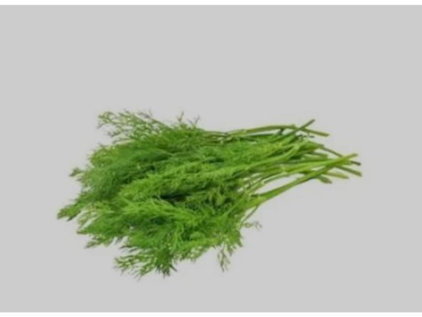 Dill Bundle