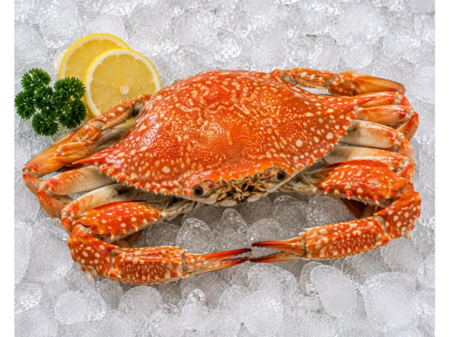 Crab