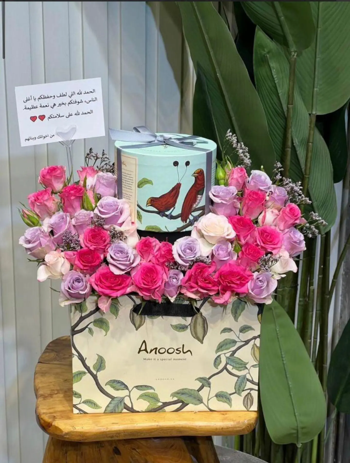 تنسيق كناري الشوكلت