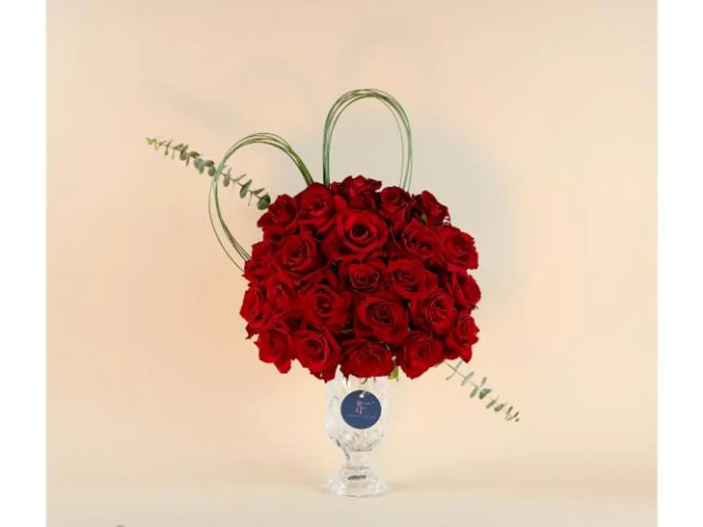 فازة 4