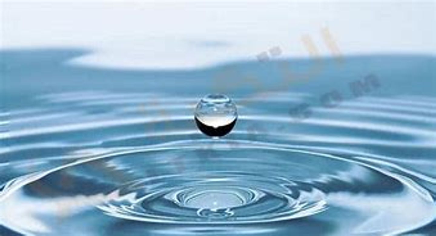 ماء