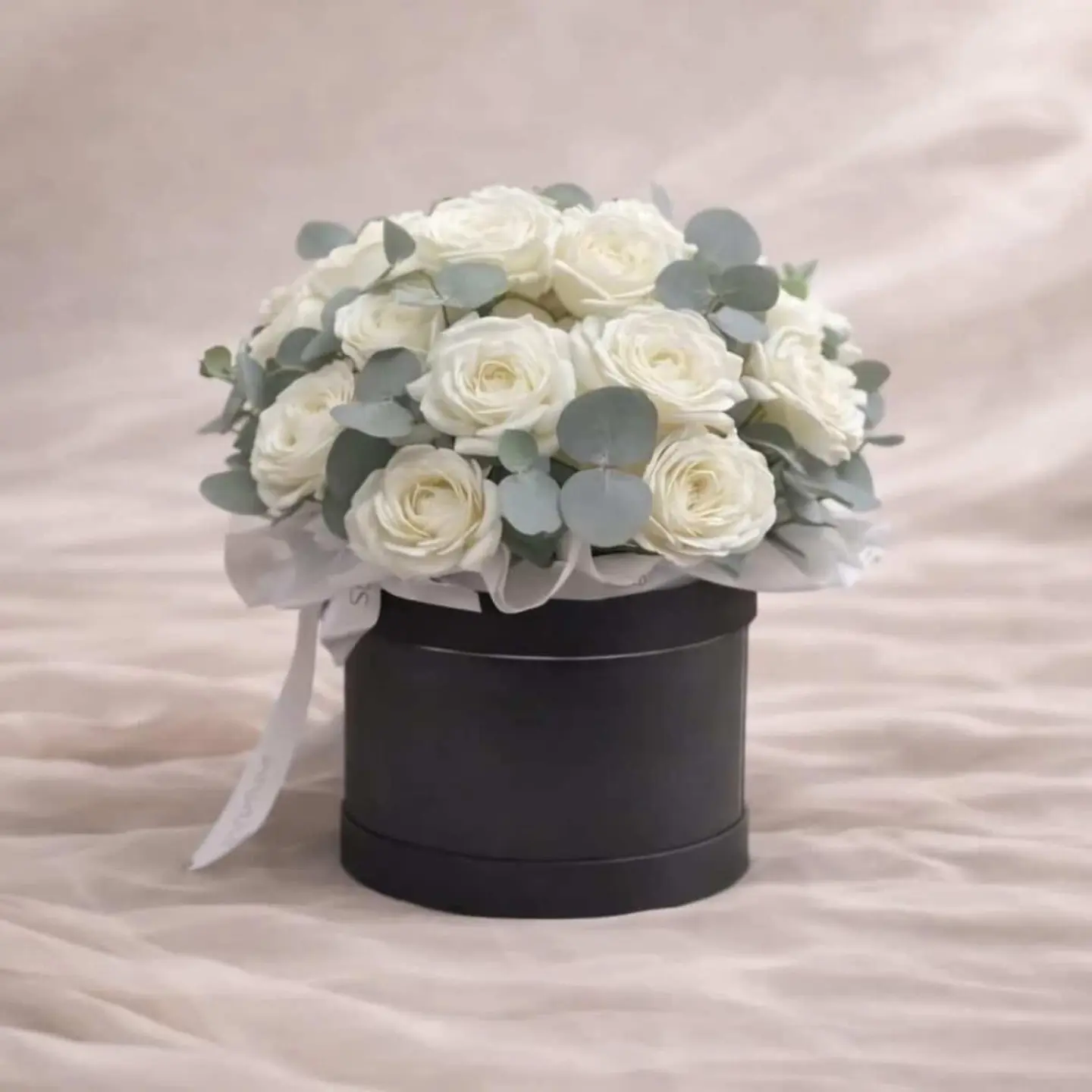 مون لايت بوكس