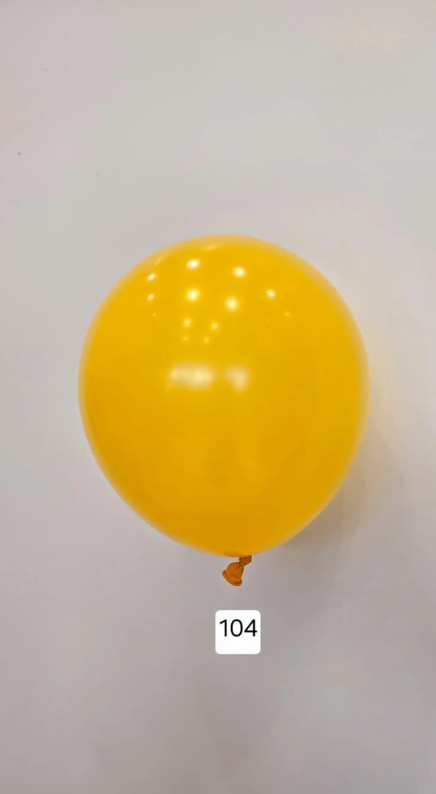 Balloon Number 104