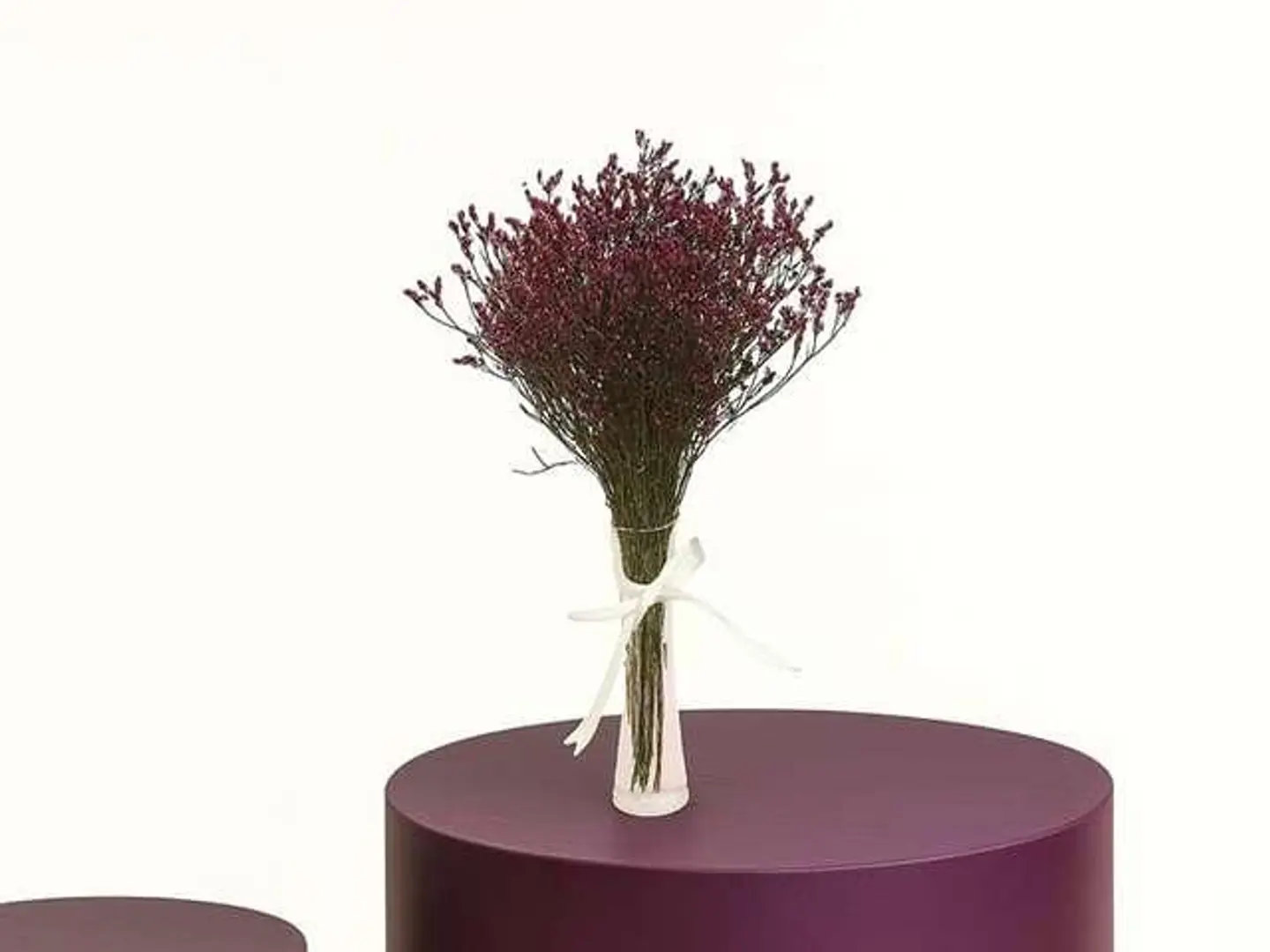Limonium Vase