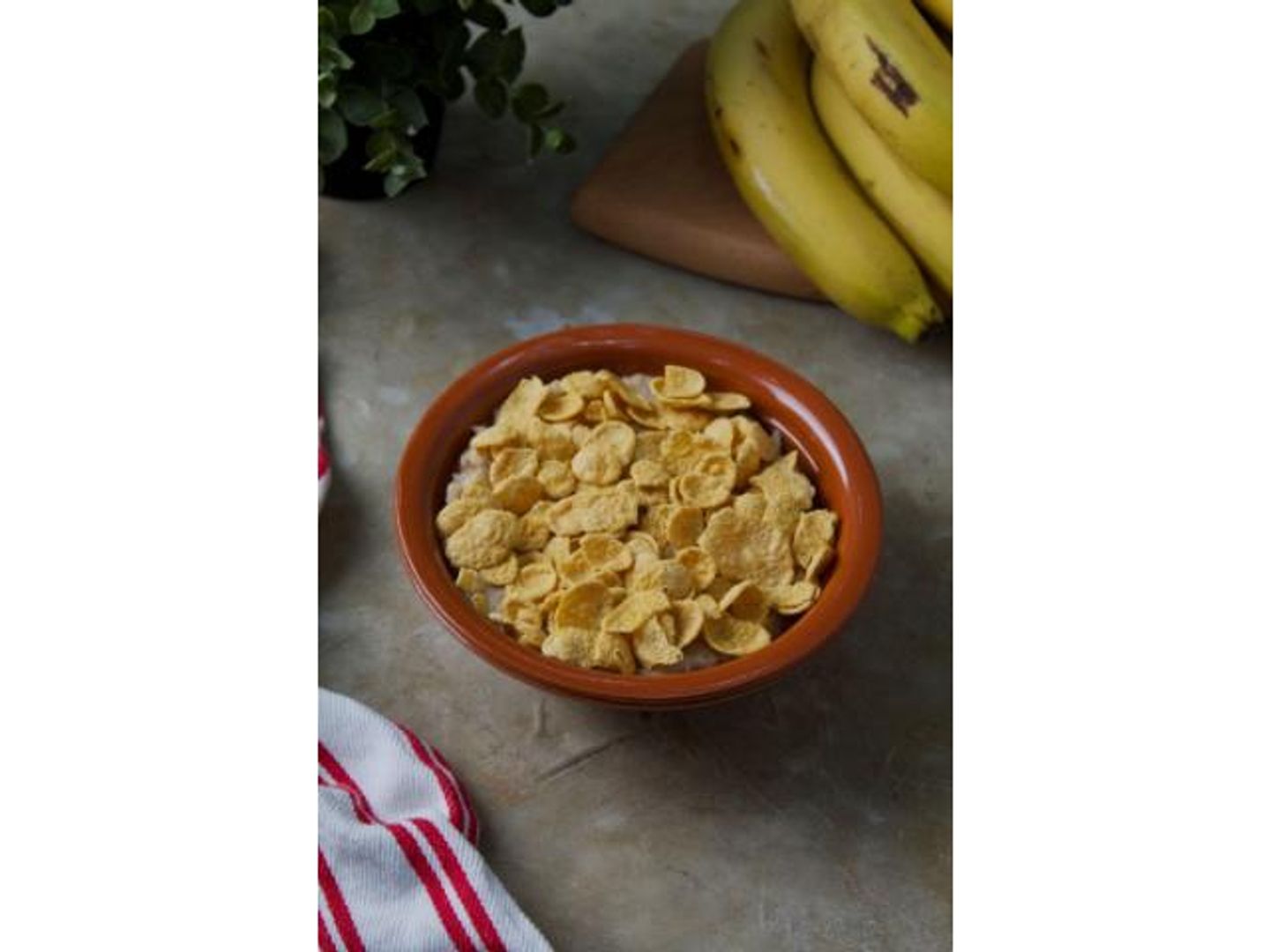 معصوب كورنفلكس