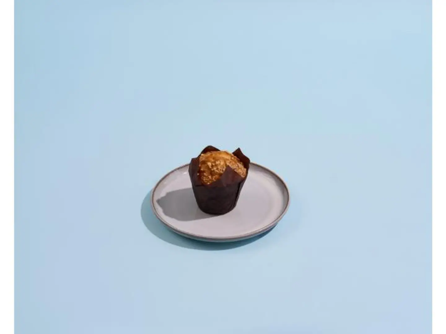 Blueberry Muffin