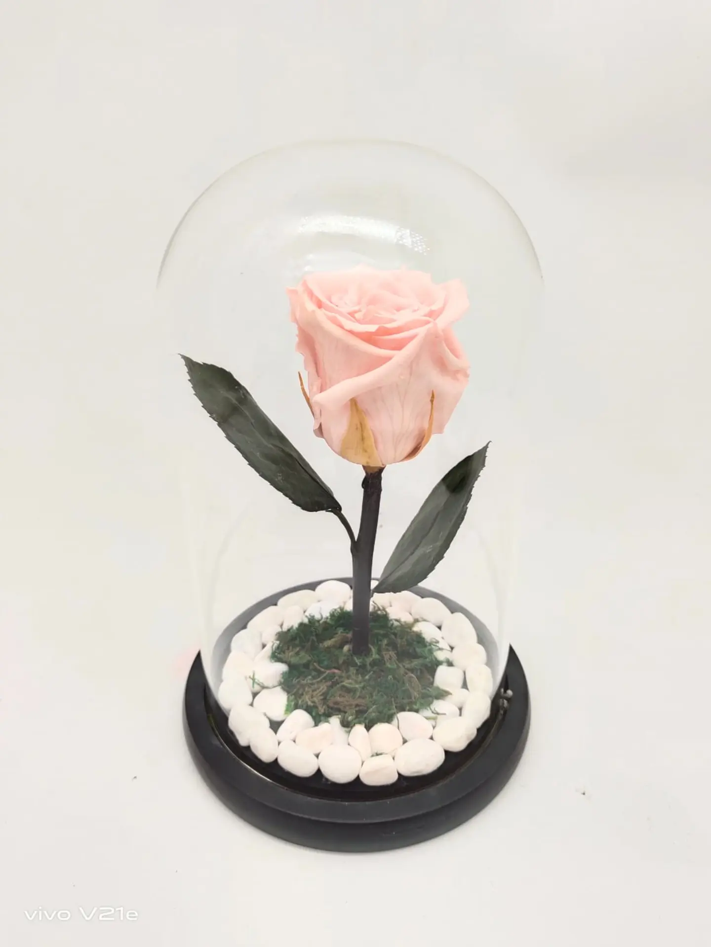 Permanent Natural Roses, Light Pink 0243
