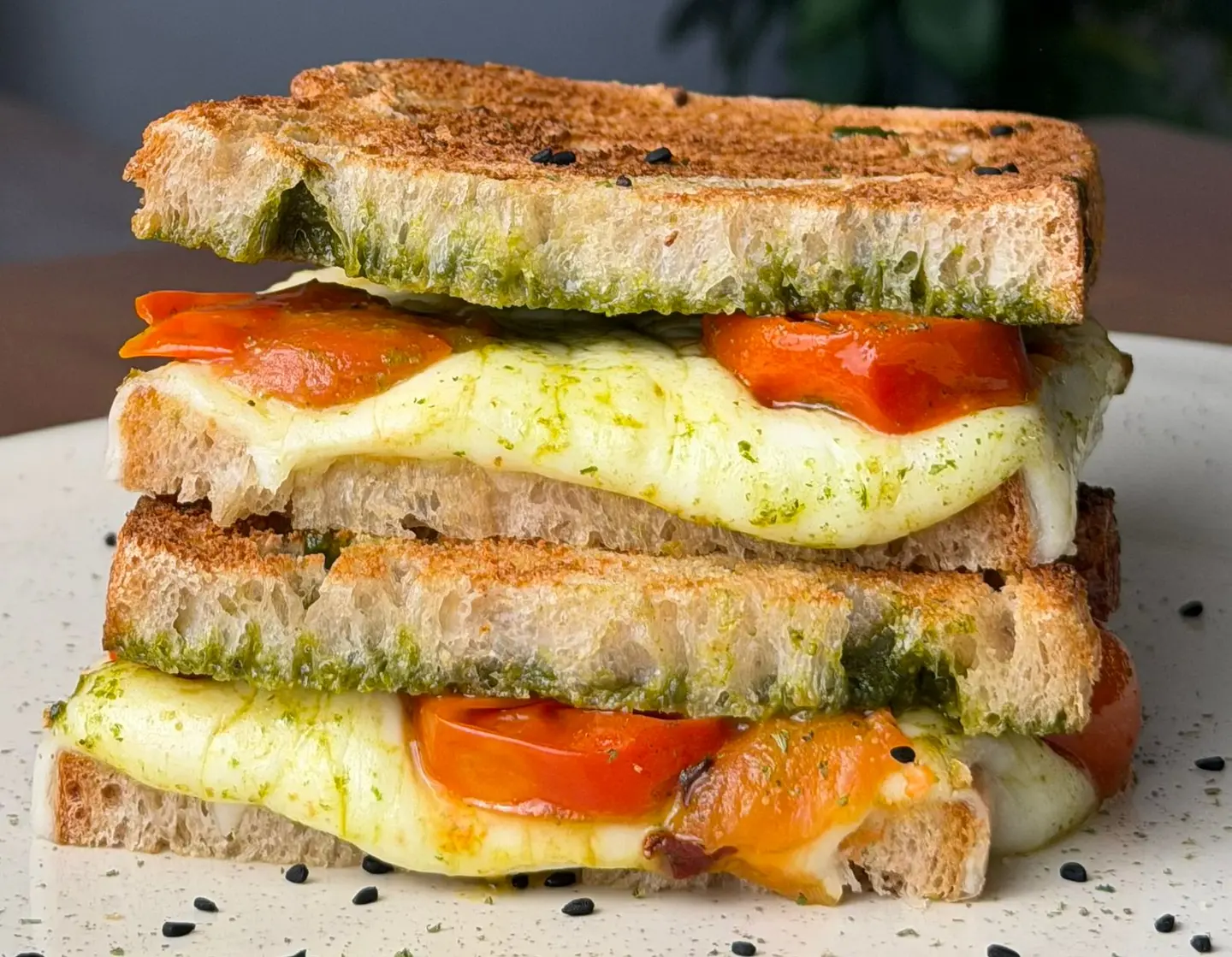 موزاريلا مع طماطم مشوية