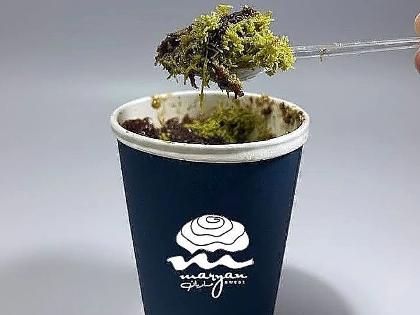 بودينج كنافة بستاشيو