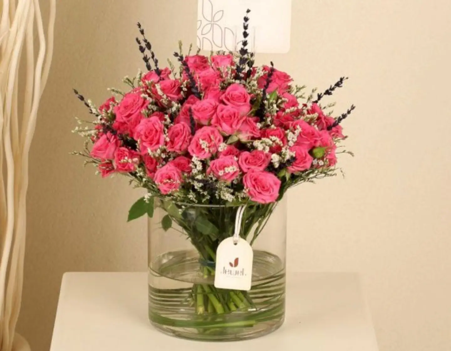 فازه ورد سبيشل ١