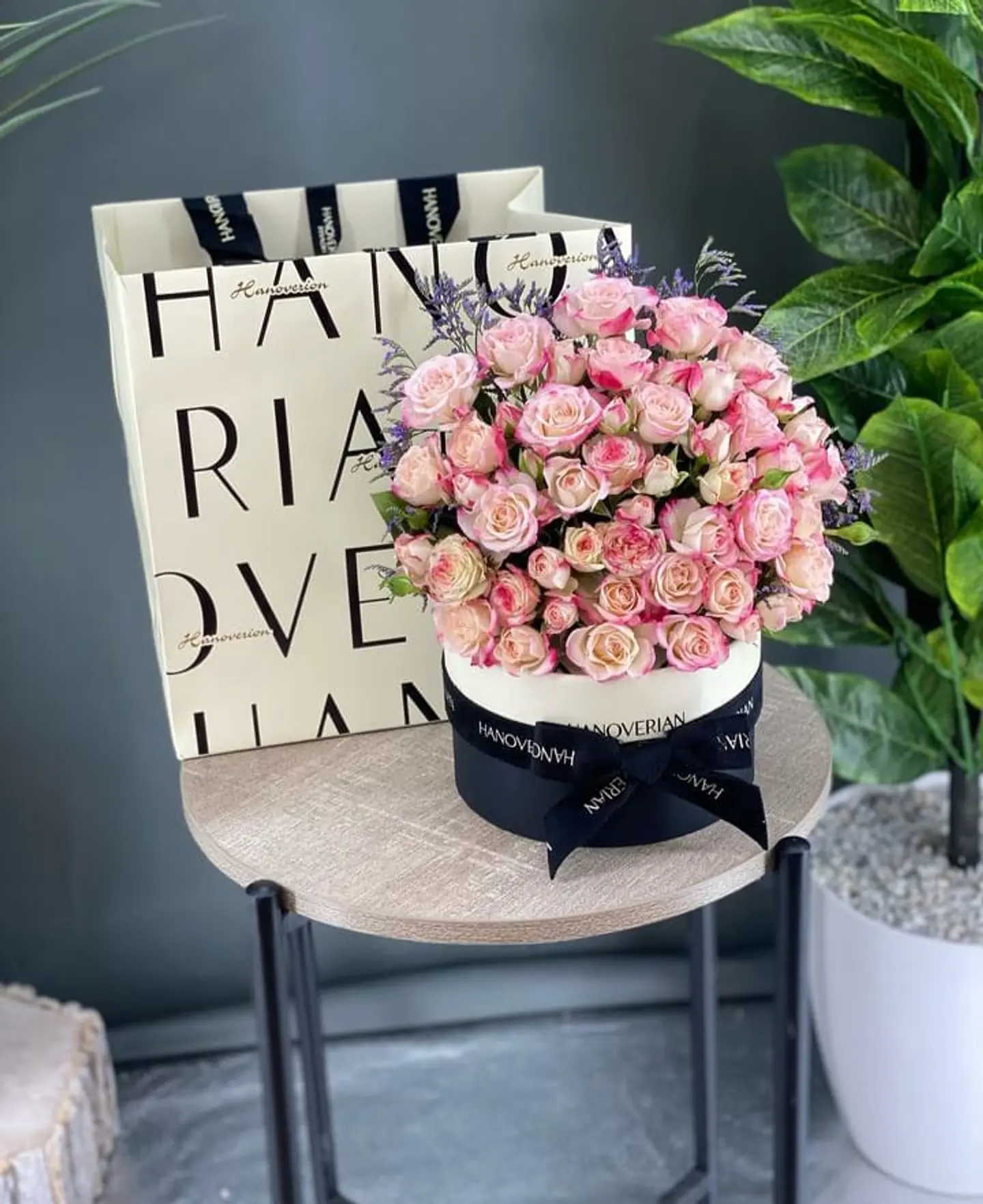 ورد وحلا هانوفيرين