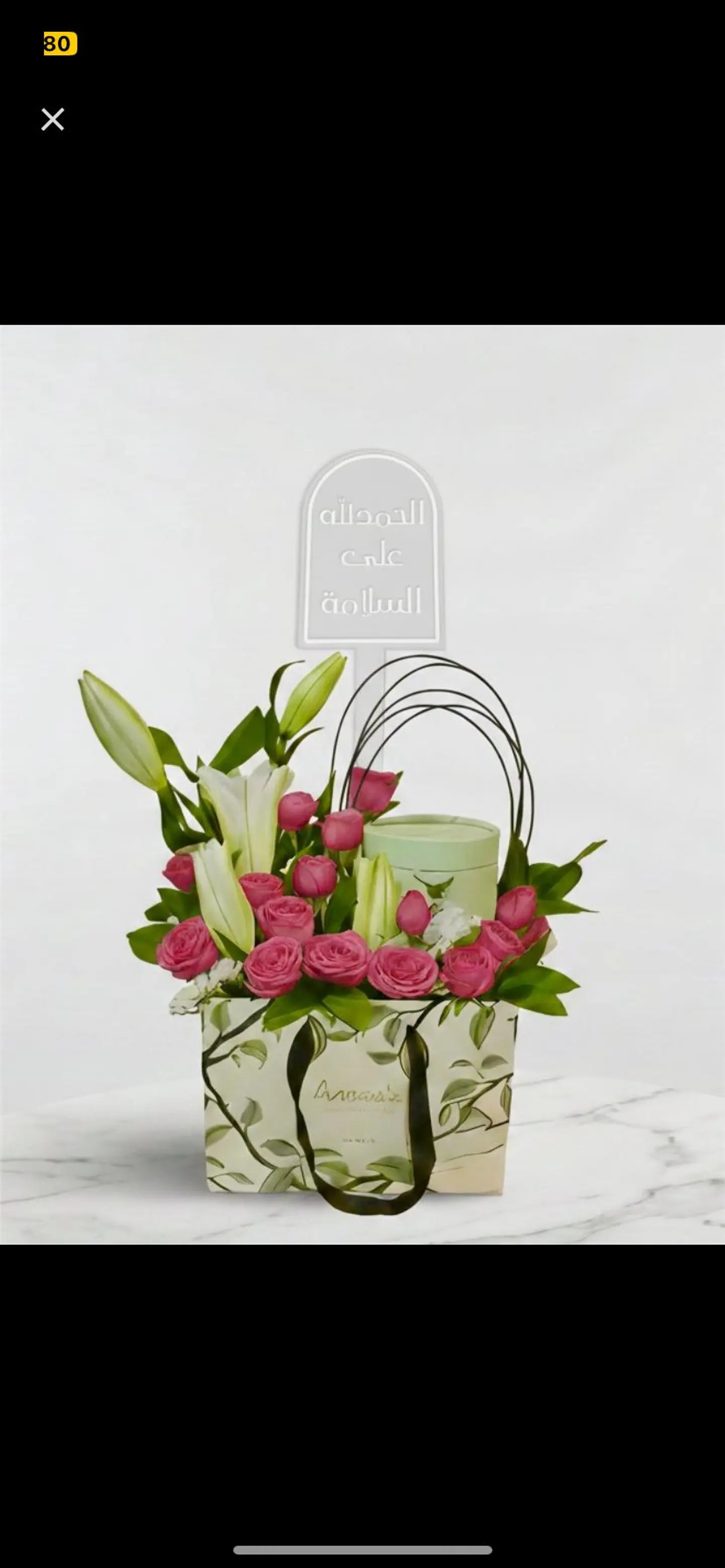 اشراقة انوش 310