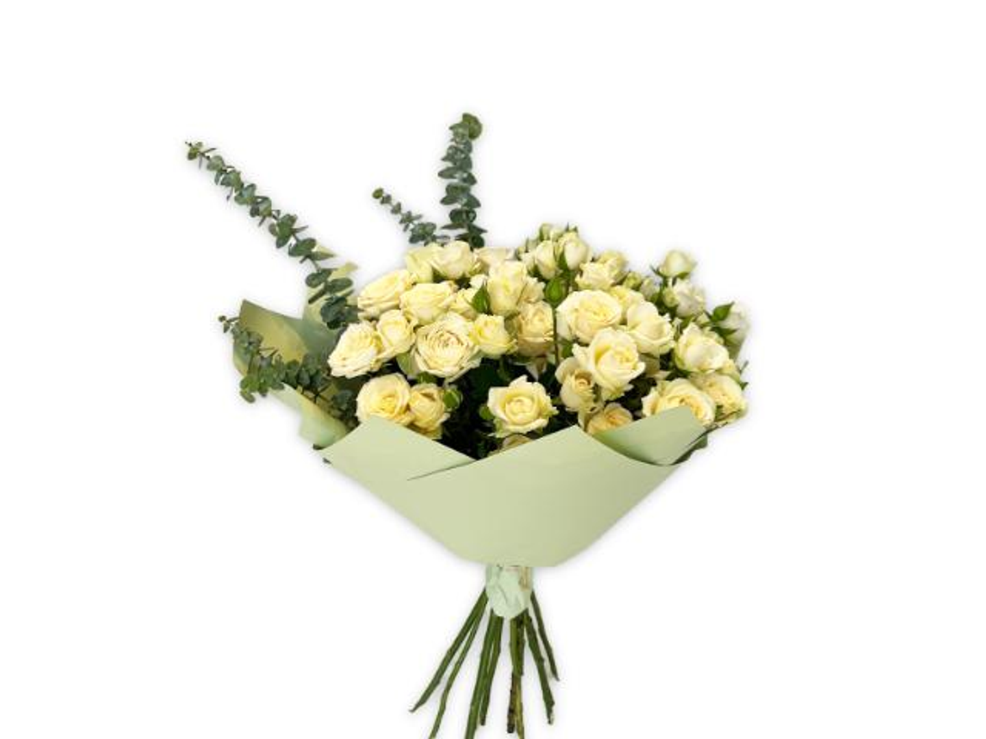 باقة بيبي روز