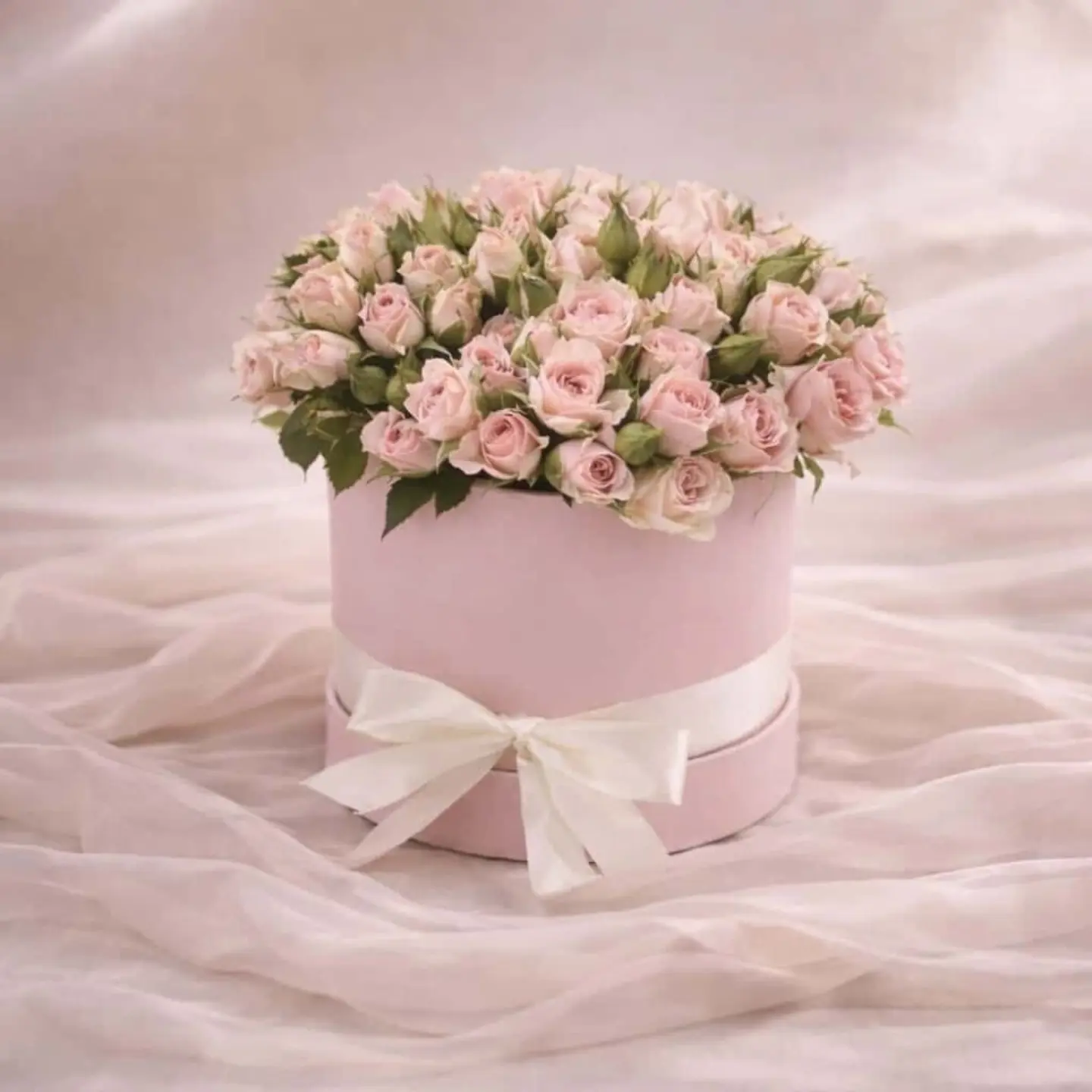 مخملية الروز