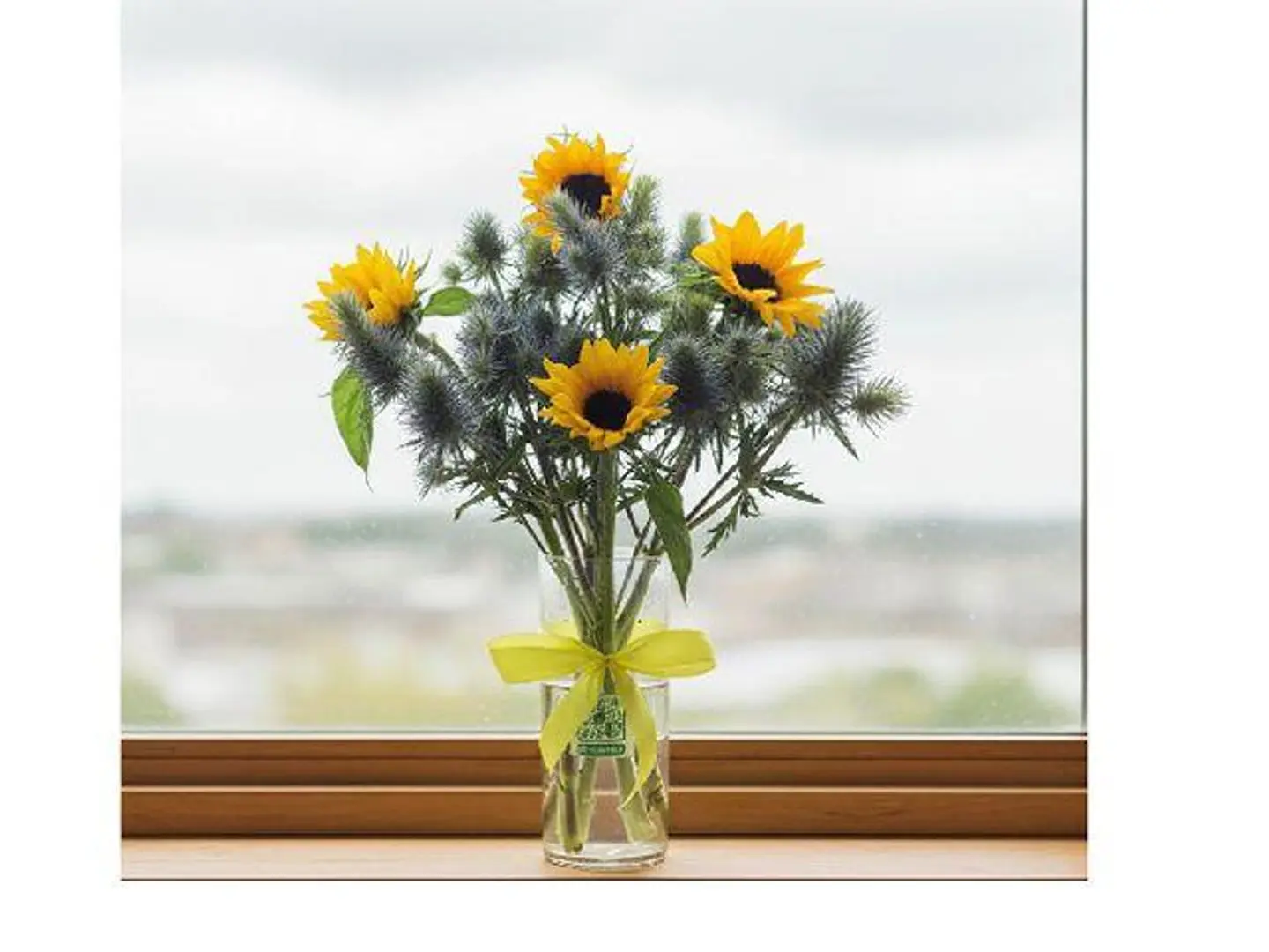 النظر إلى الشمس