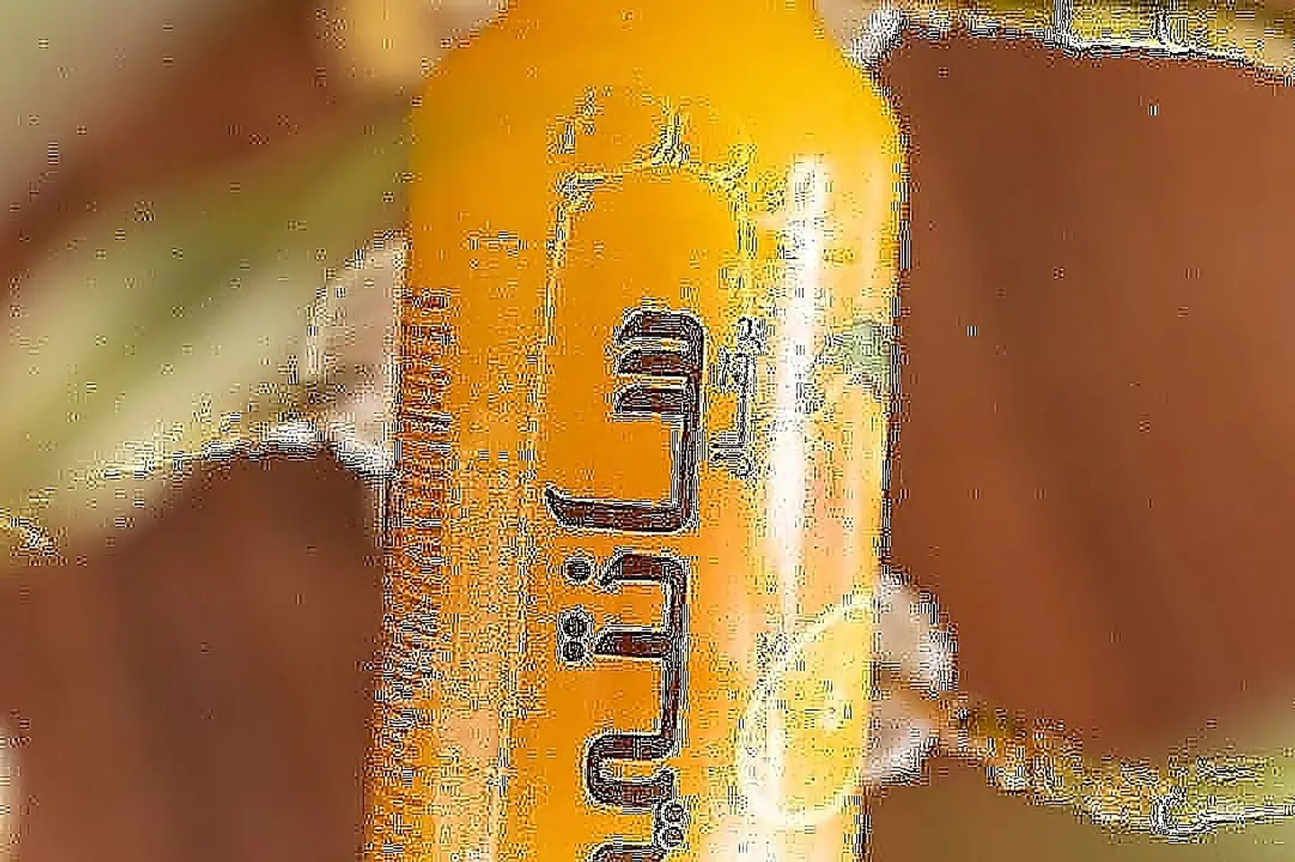 Santi Orange