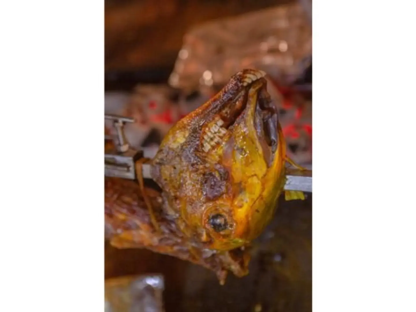 رأس خروف