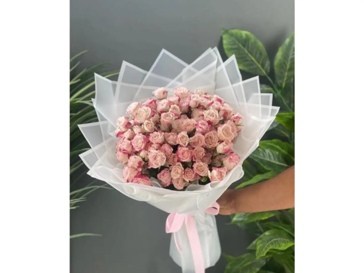 باقة الأناقه