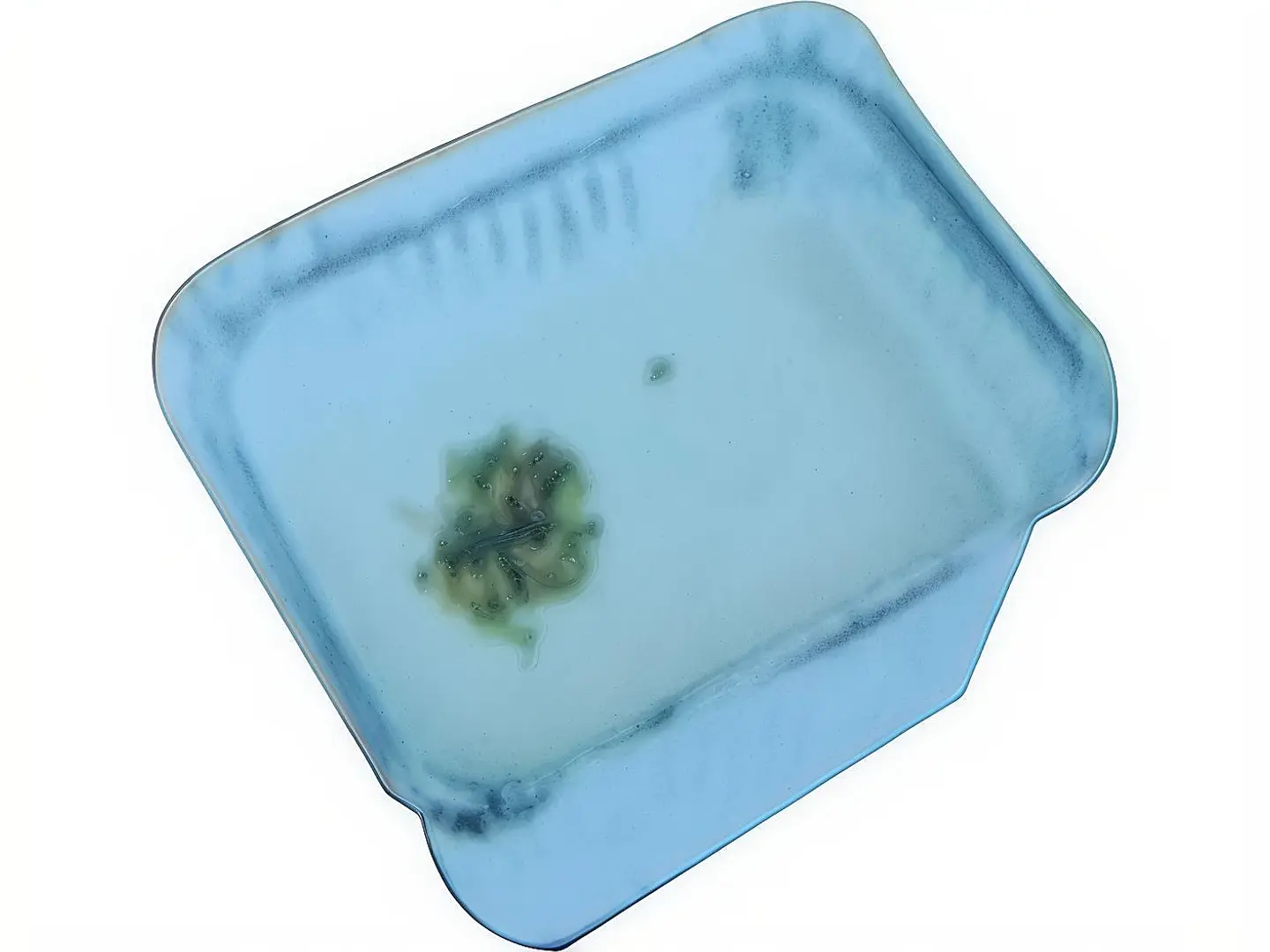 ام على