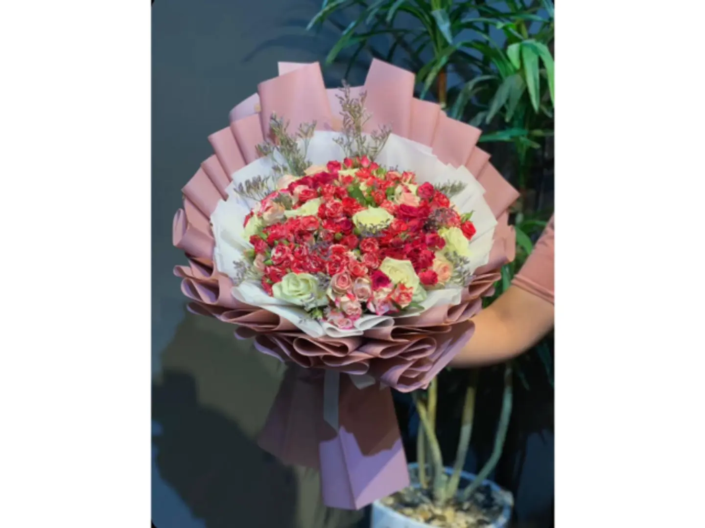 باقة النعومه