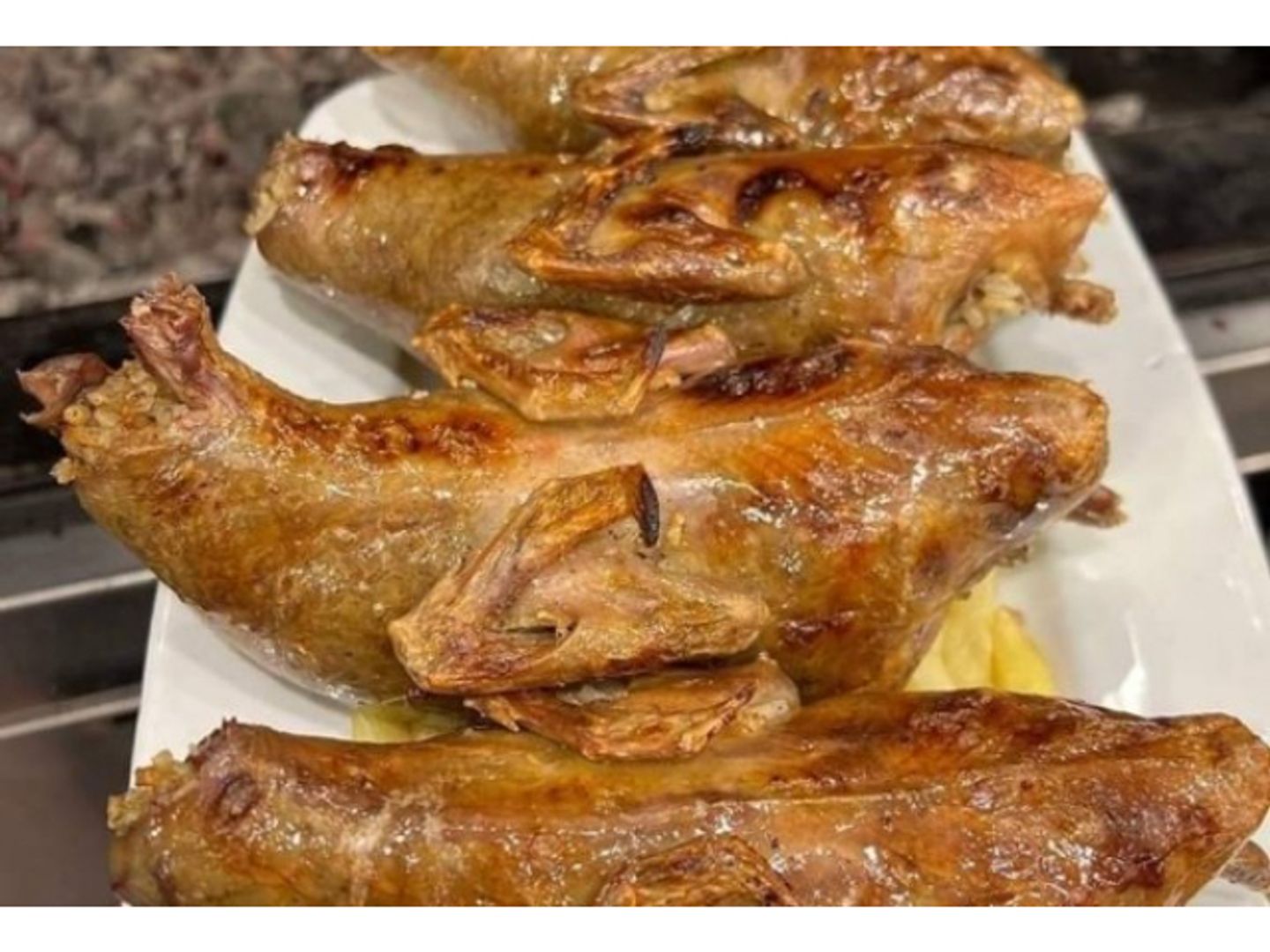 Charcoal Grilled Pigeon