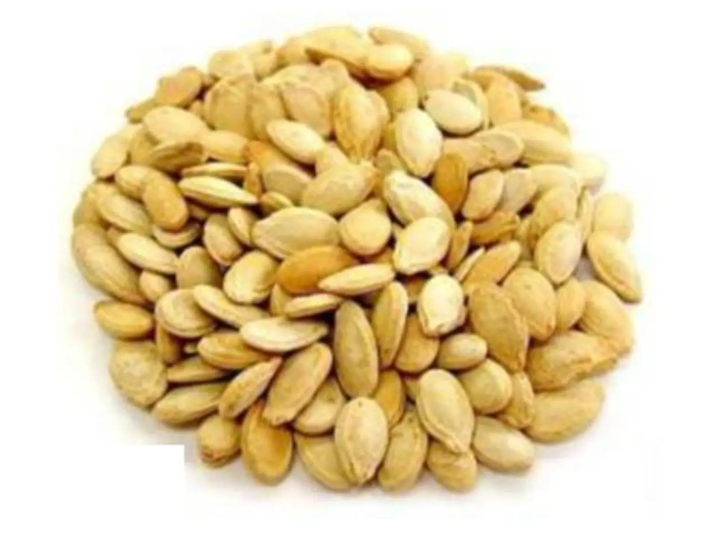 Salted Egyptian Seeds