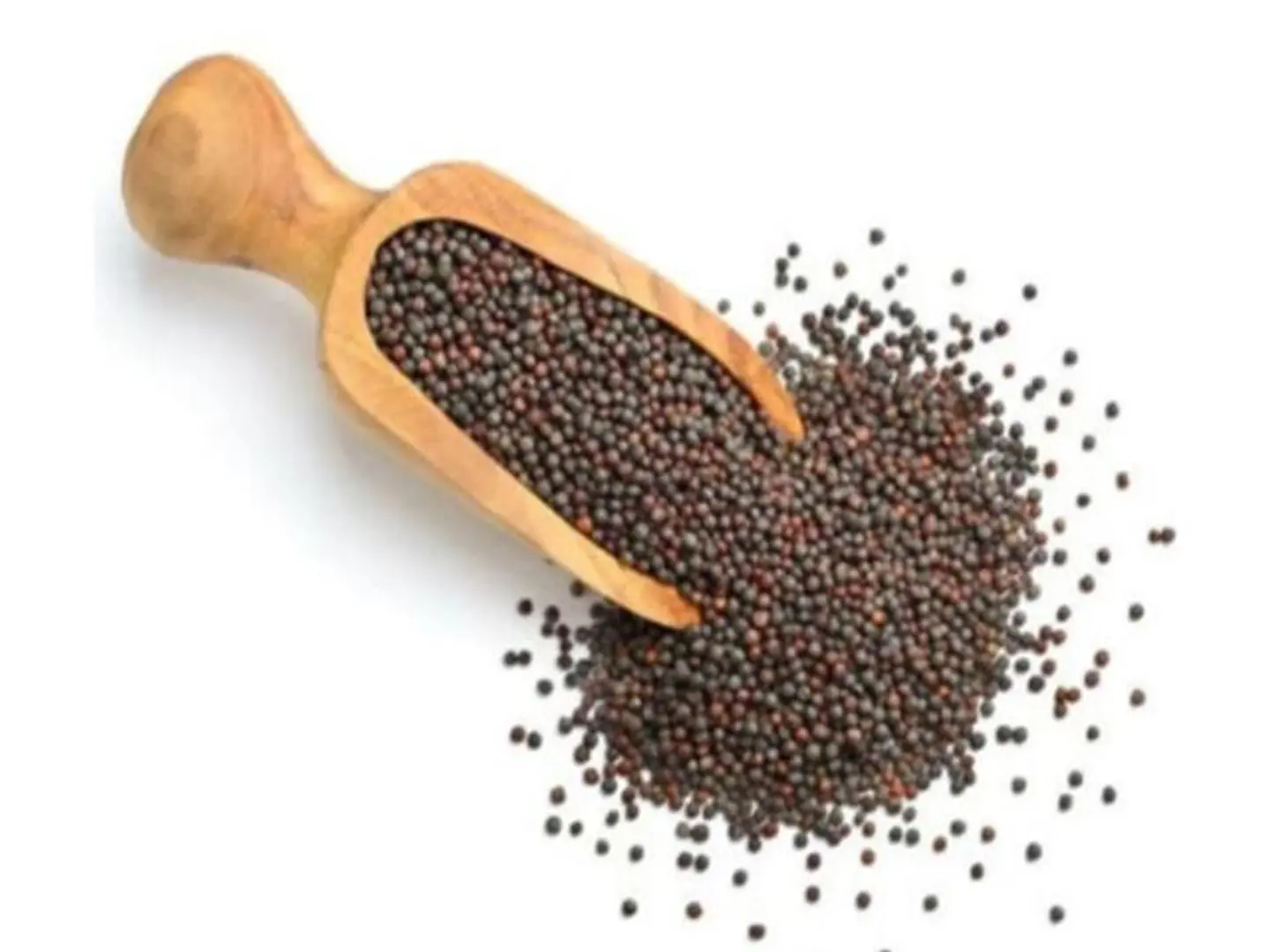 Mustard Seeds