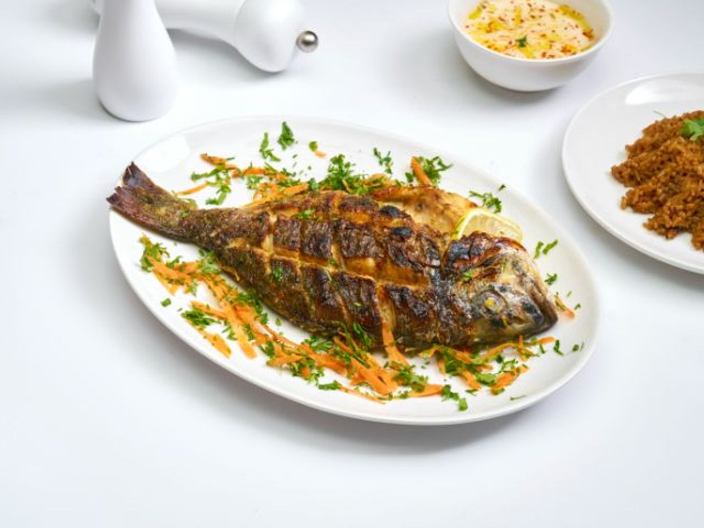 Sea Bream
