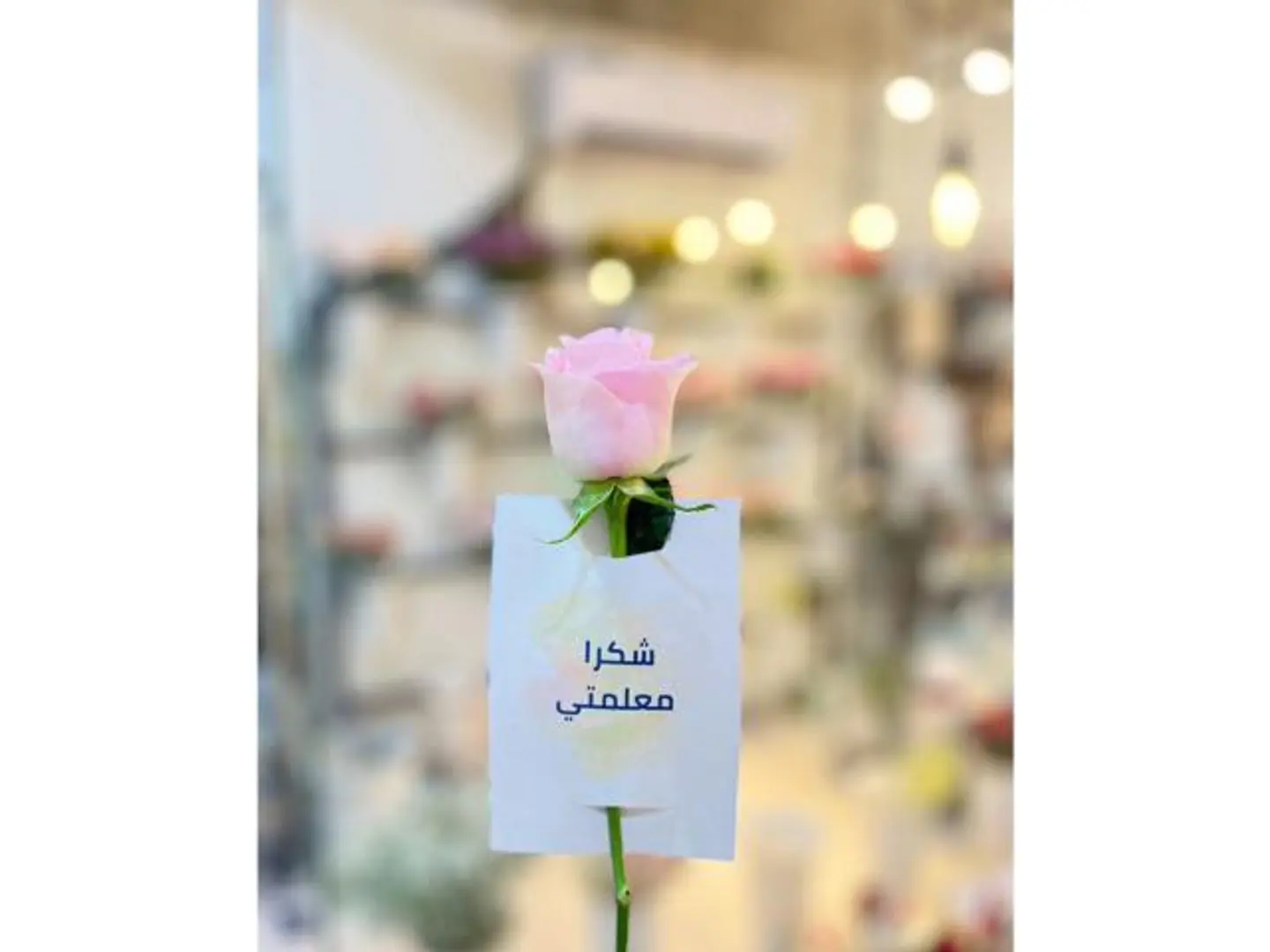 شكرا معلمتي