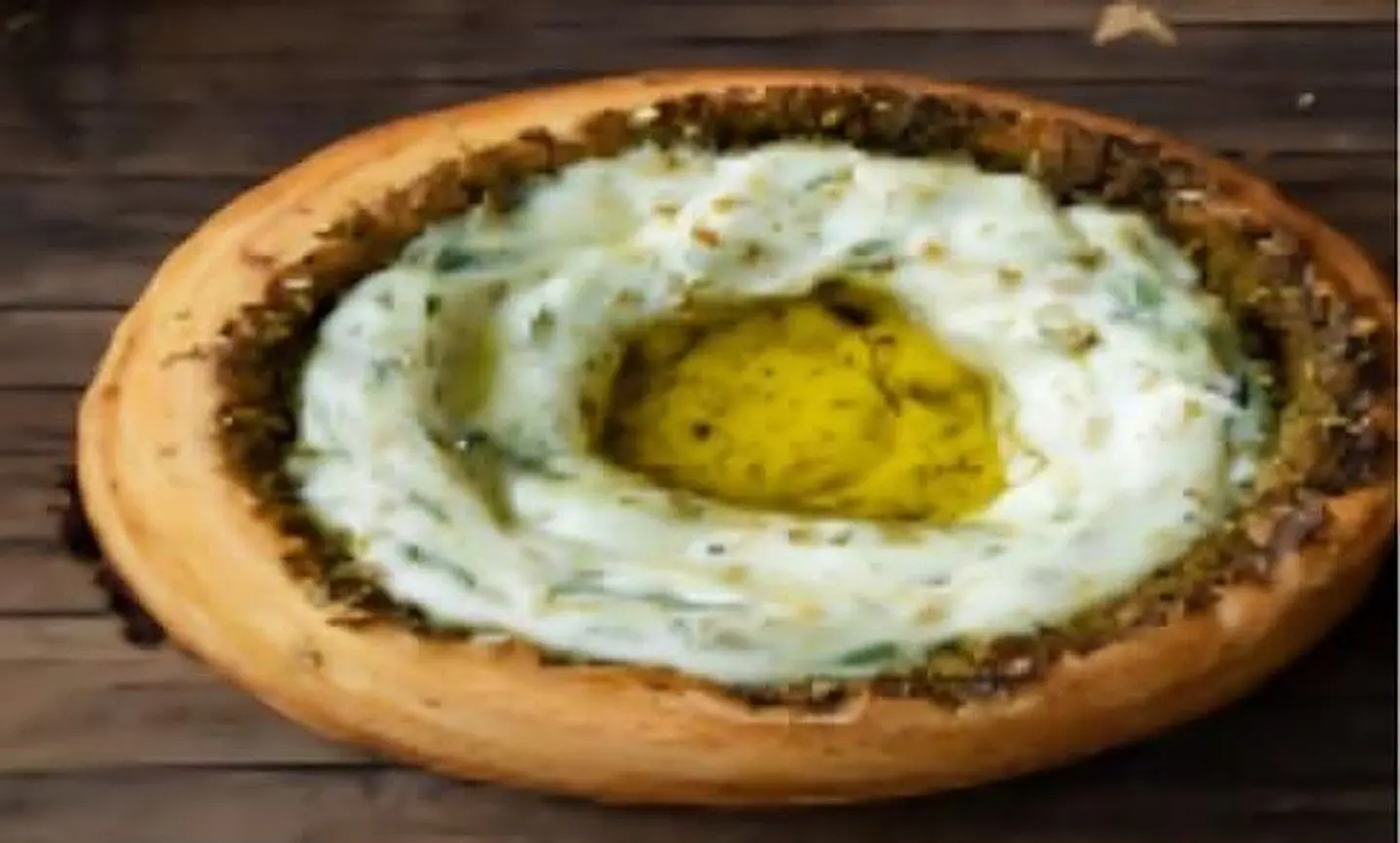 دانش زيت زيتون