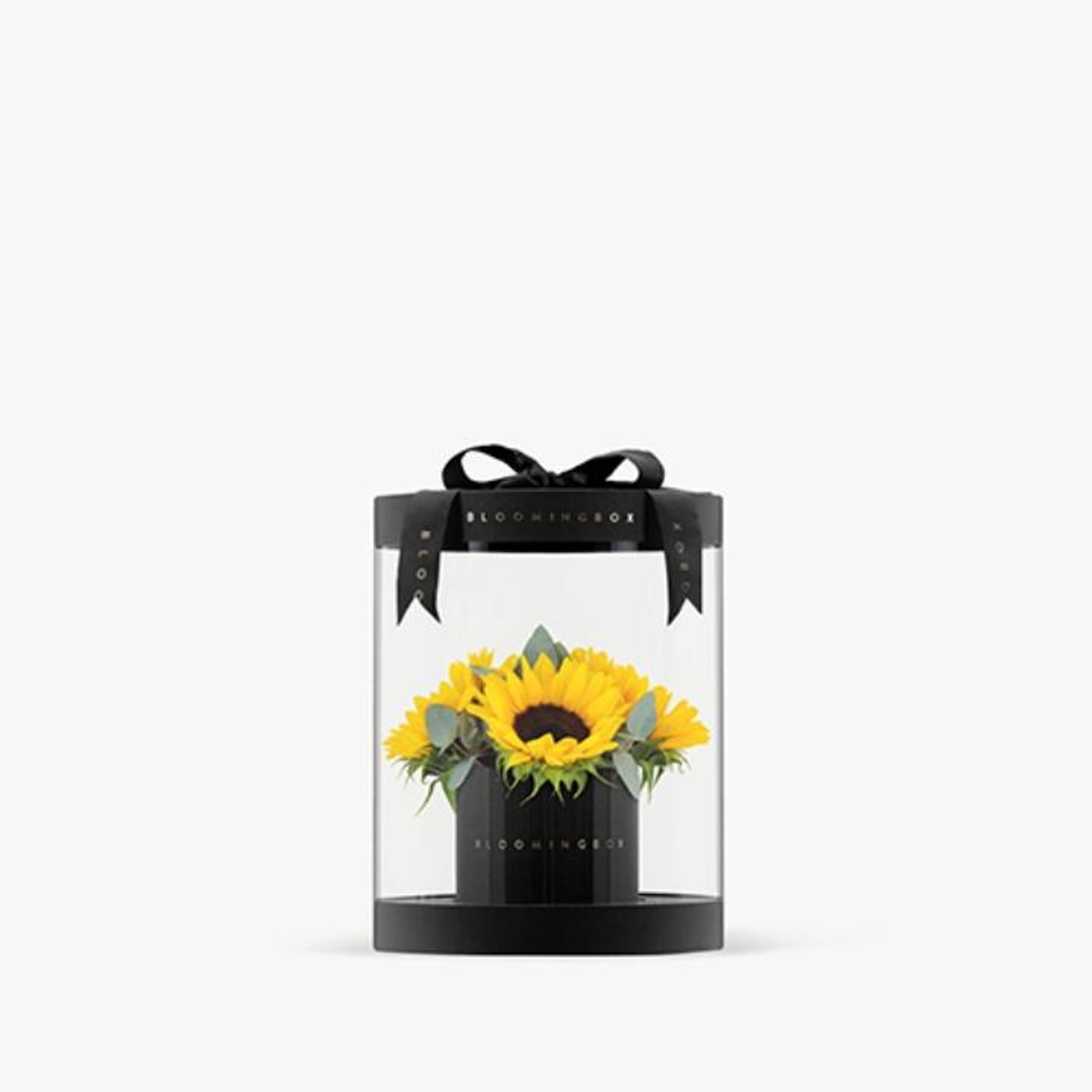 Premium Sunflowers Box Small