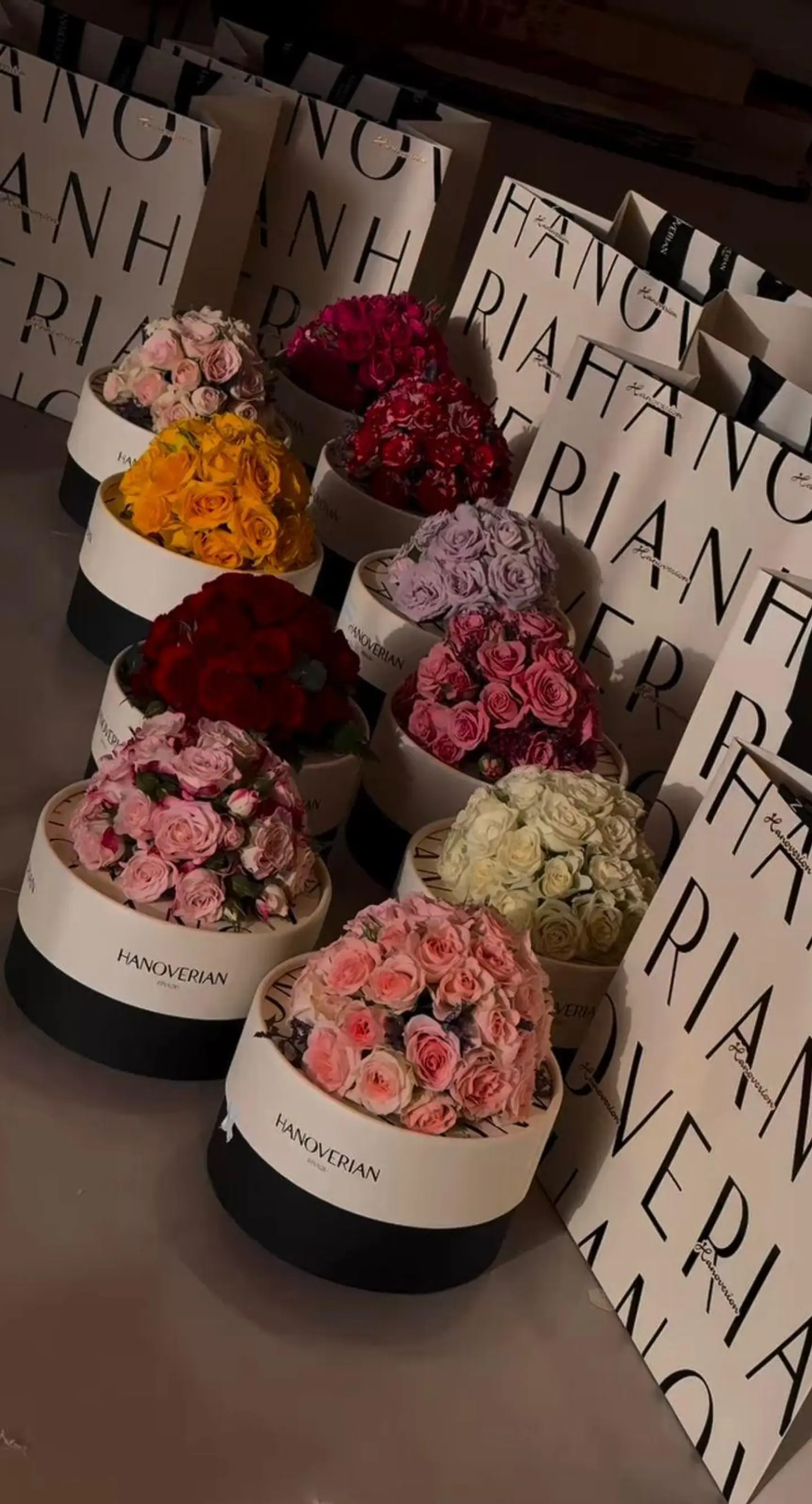 بكج الحلا من هنوفريان. العدد ١٠ بكسات