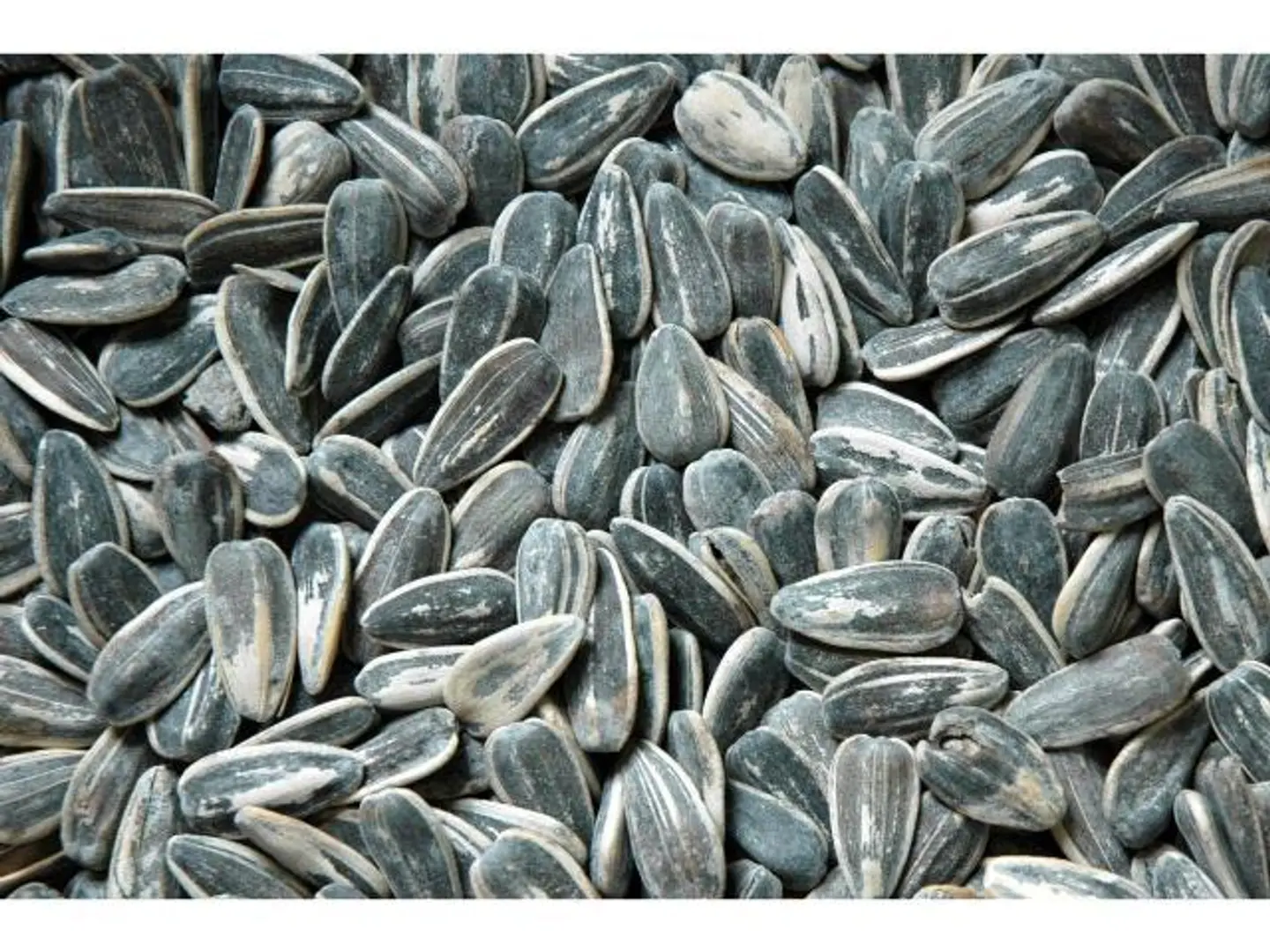 Baja Sunflower Seeds