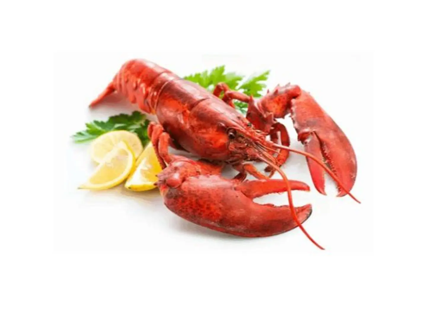 Lobsters