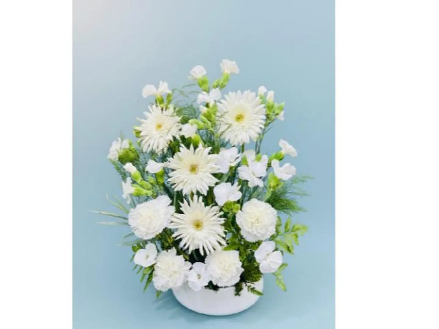 Hearts Of White 414